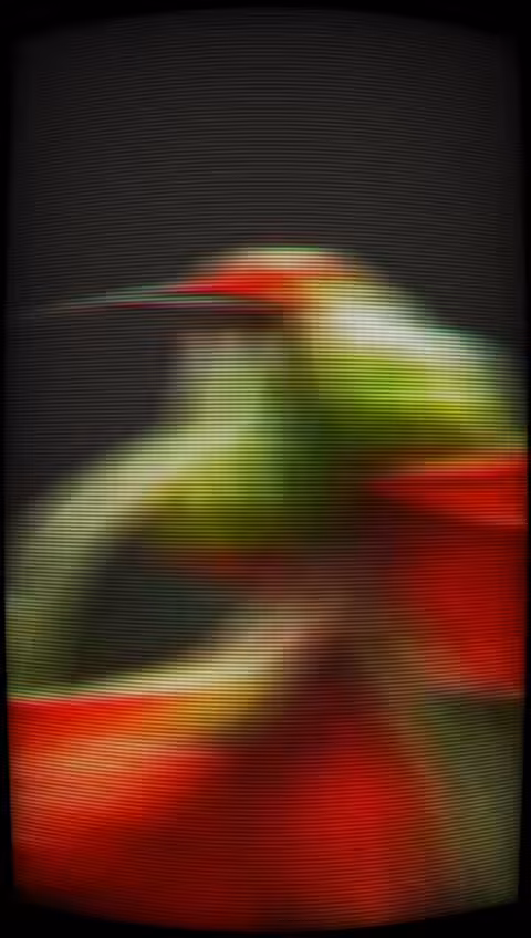 🎨🎞️ Objkt Link - 🪙$XTZ🪙