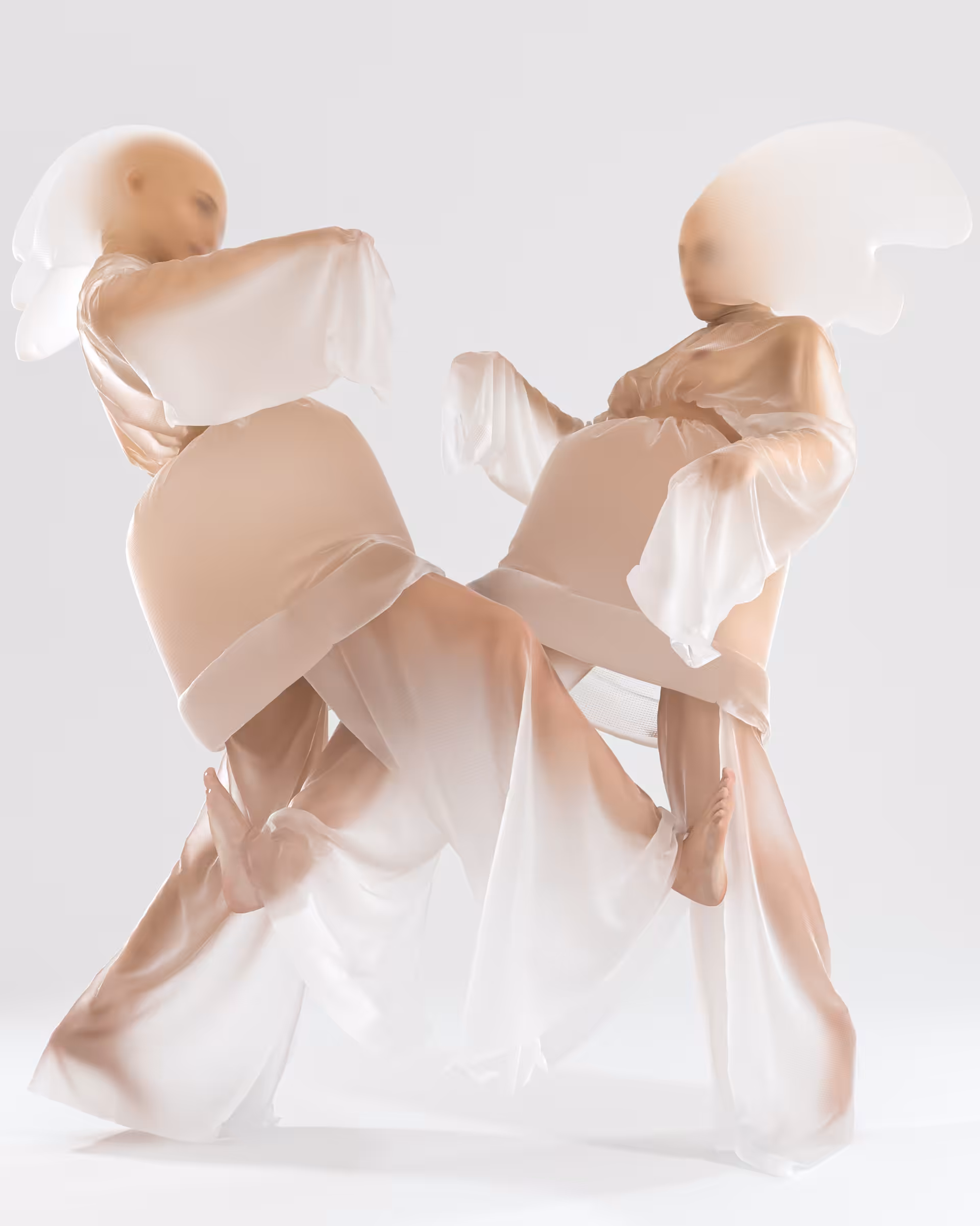 The Fight of Translucent Twins 