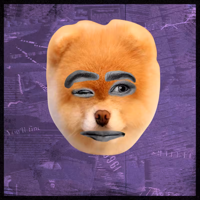 Doggenstein #17