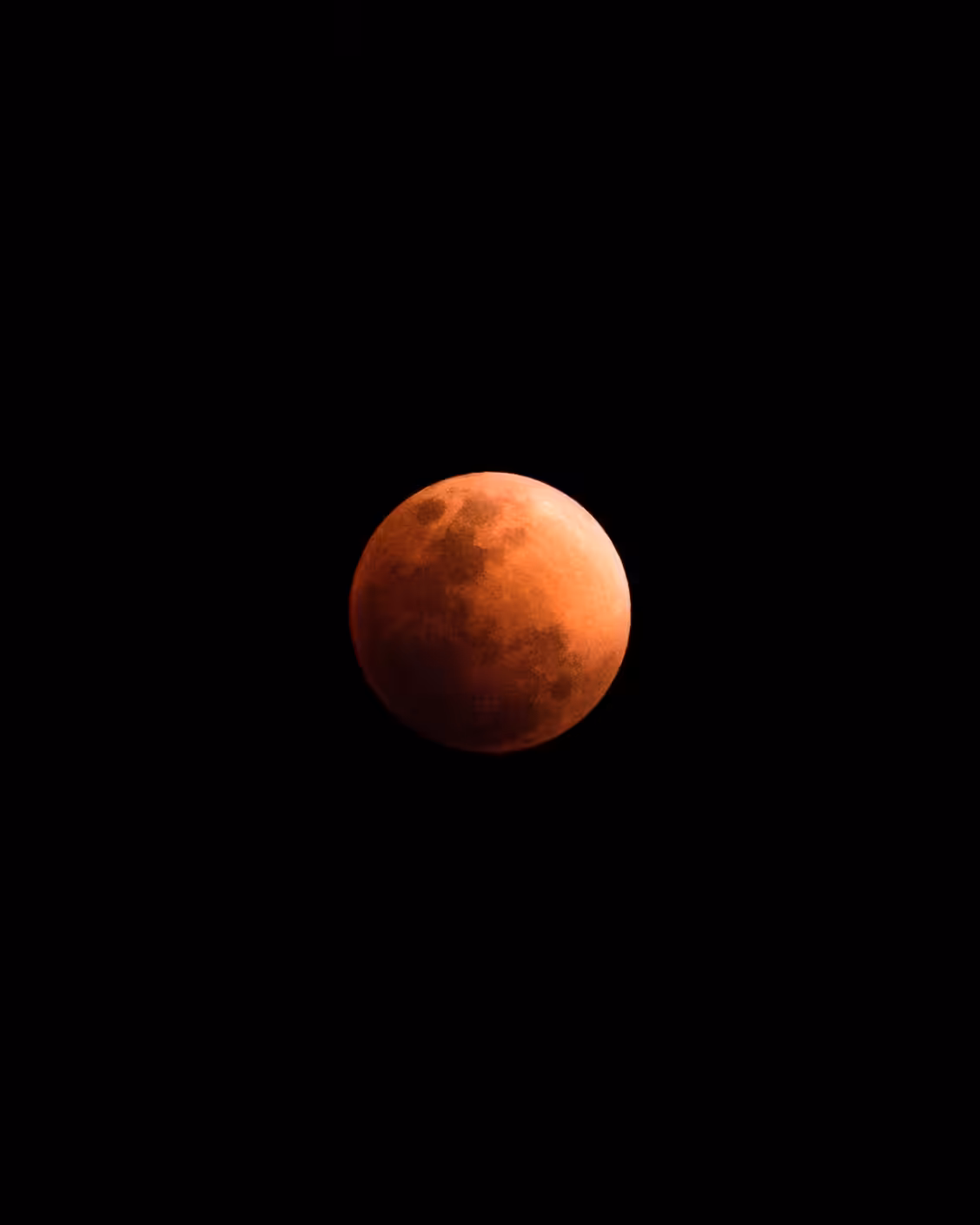 Bloody Moon