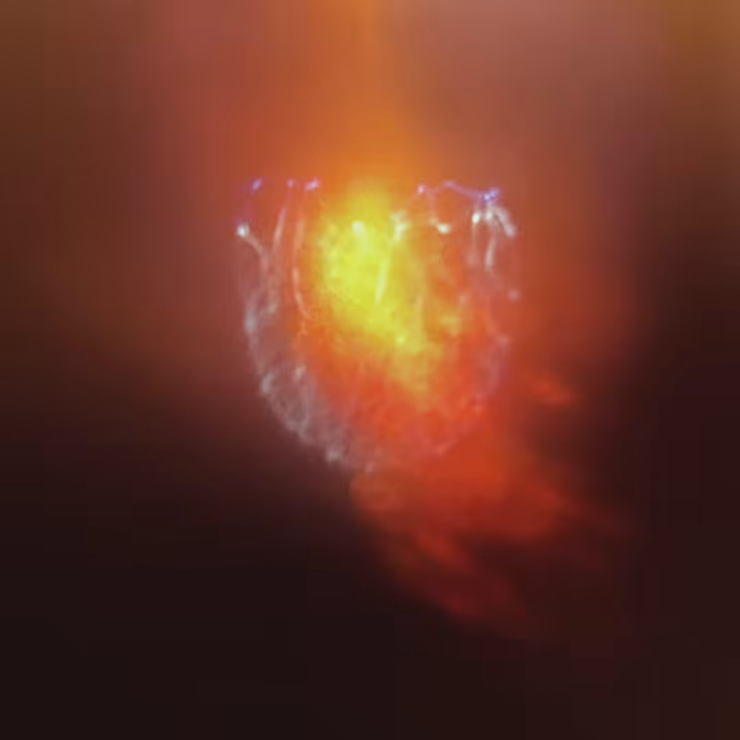 ADHISTA / SEED