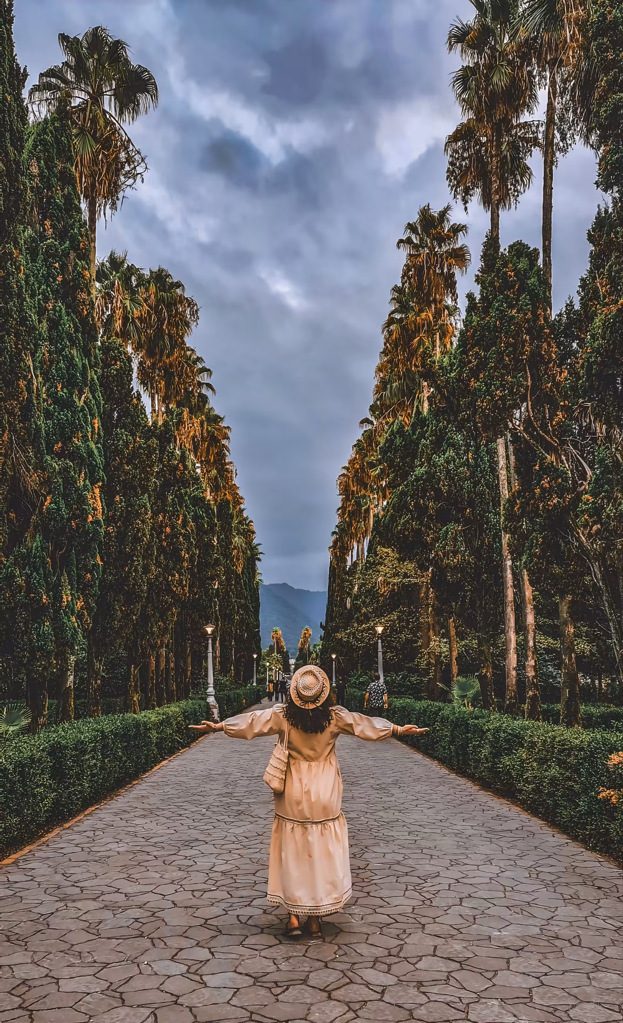 Into the Palms
