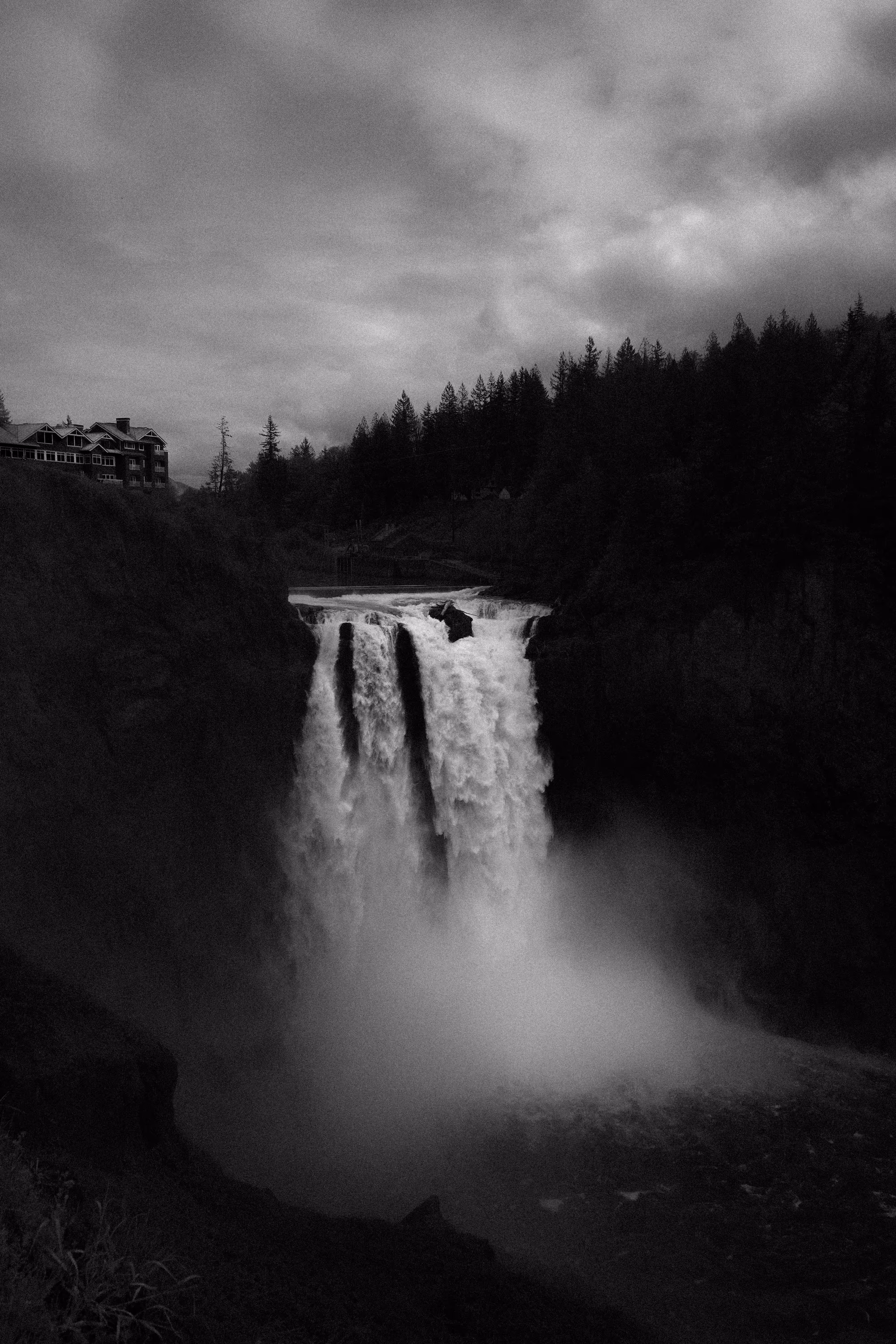 An Ode To Twin Peaks