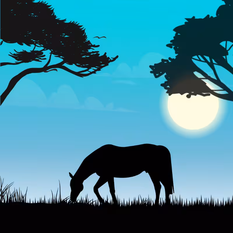 We Care...Horse #5