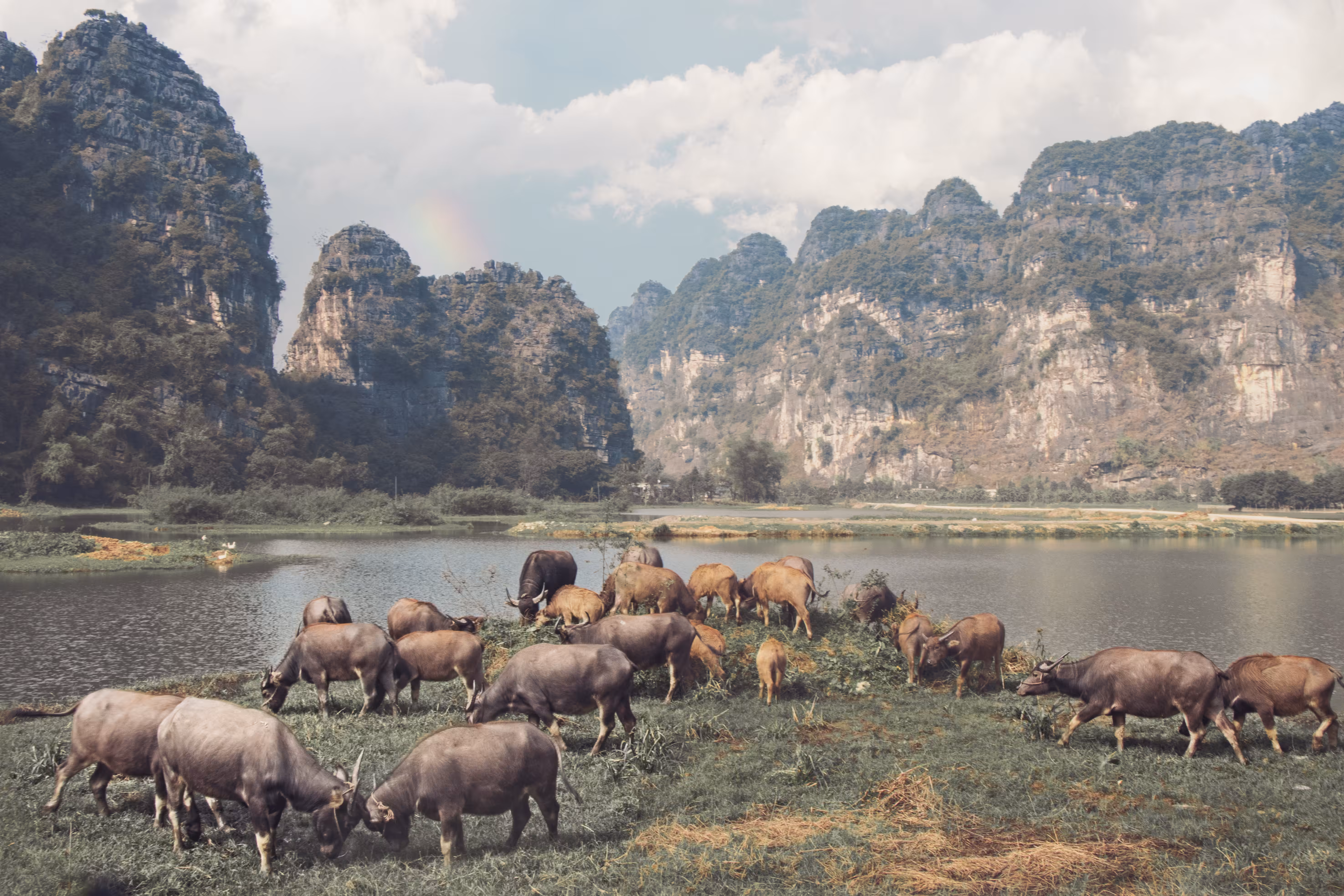 Roving Around the World: Great Valley