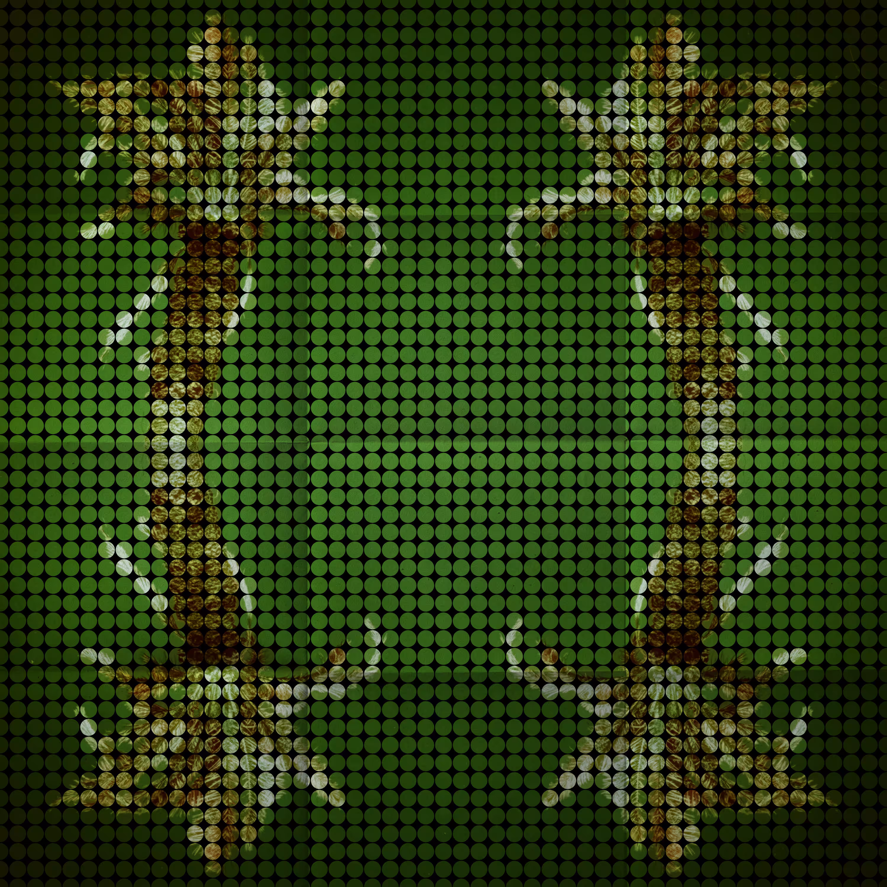 gifchroniclesartwork: 220805
