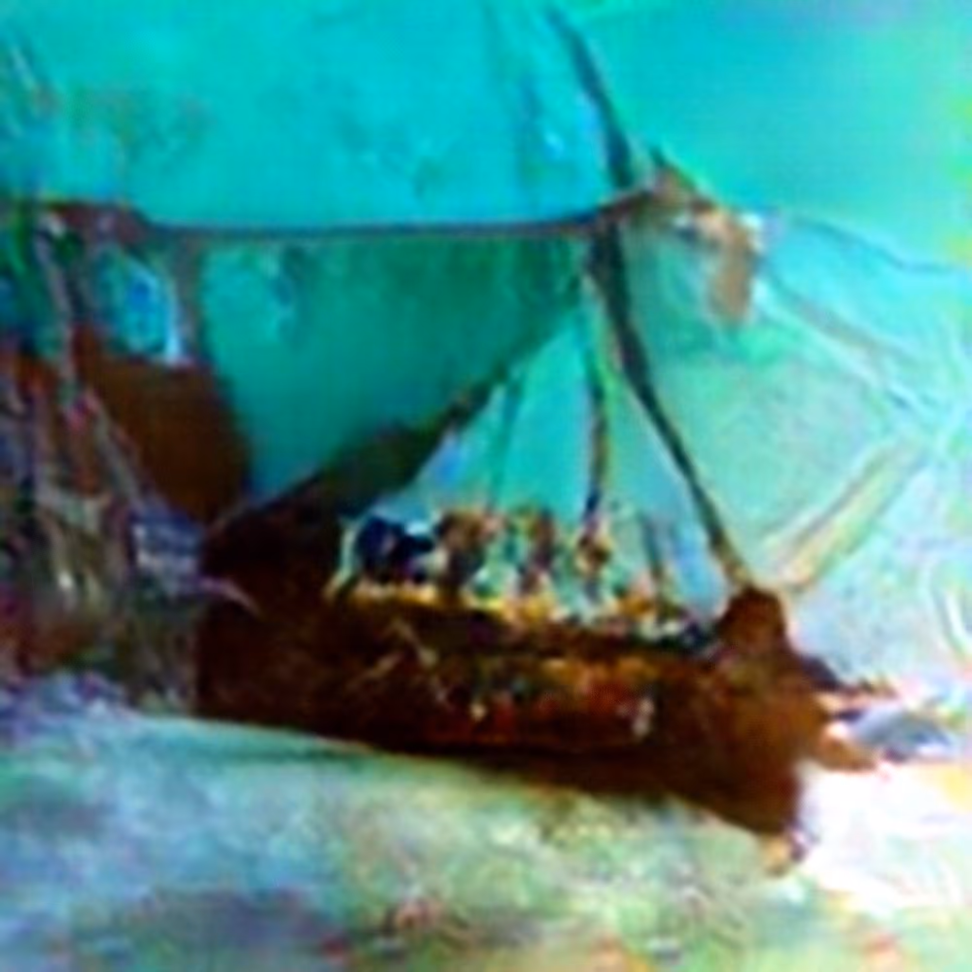 Evolved Hallucinations: Dreams of Sunken Ships #6 (Corpus: Seaweed Dreams)