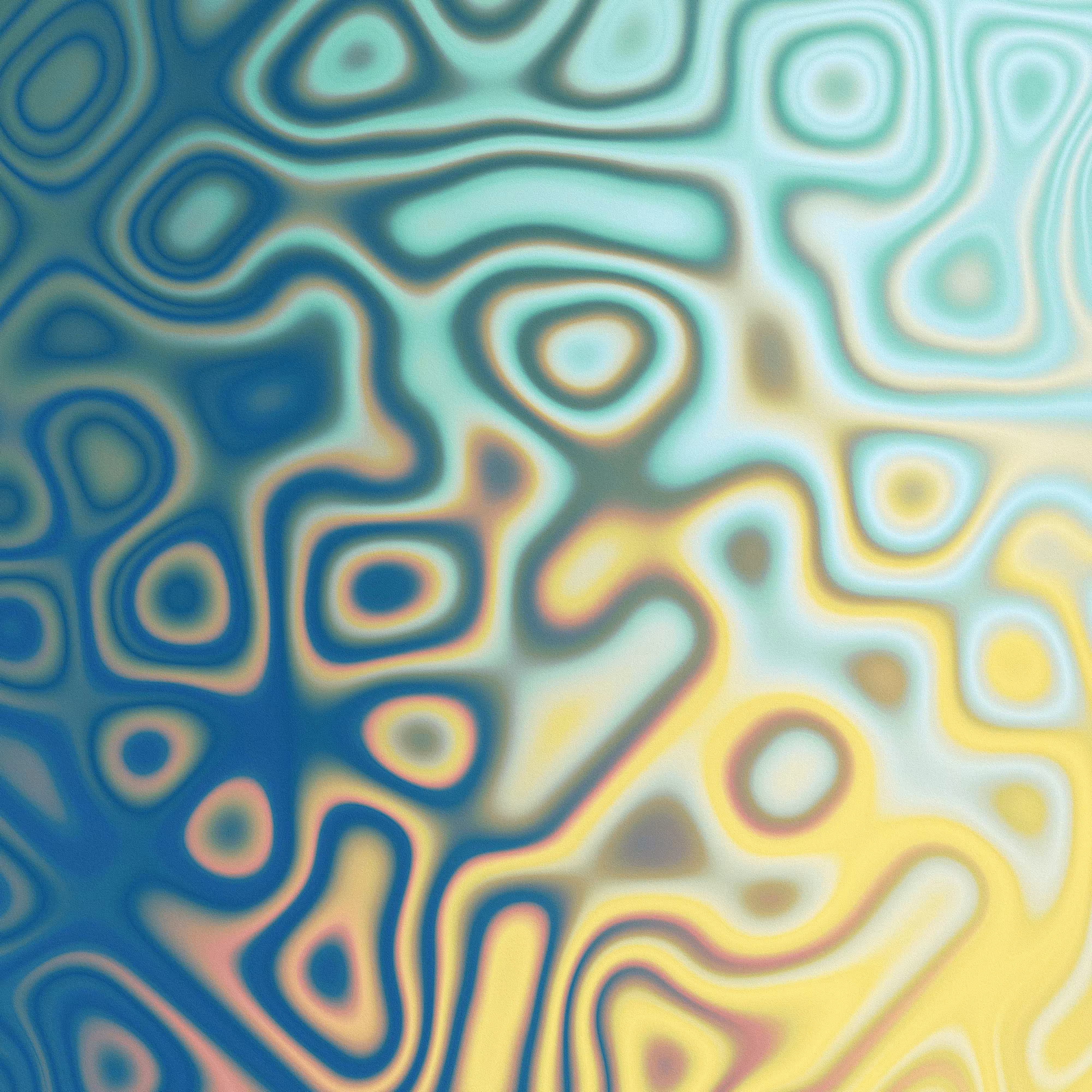 80
