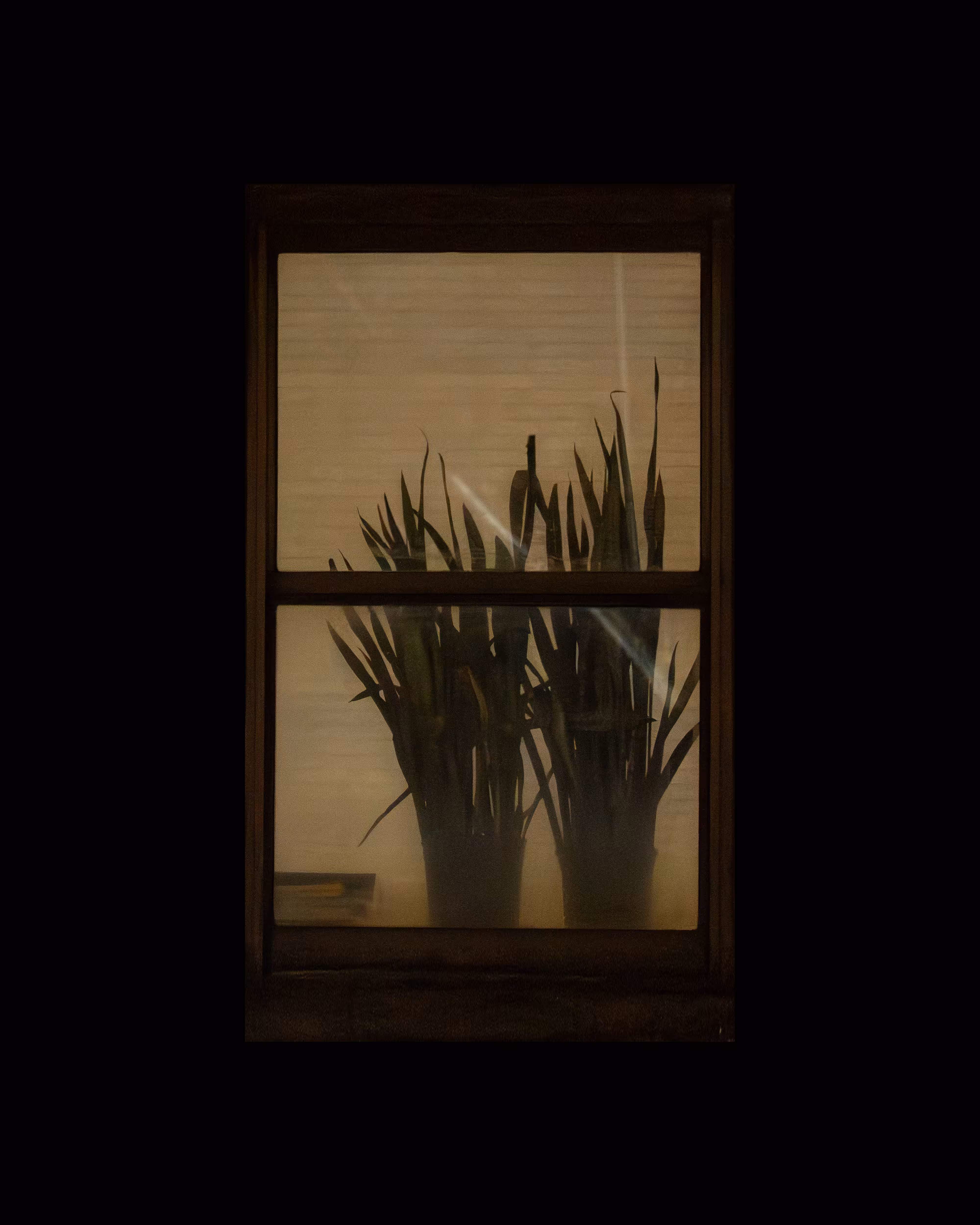WINDOWS // NYC: WINDOW 168
