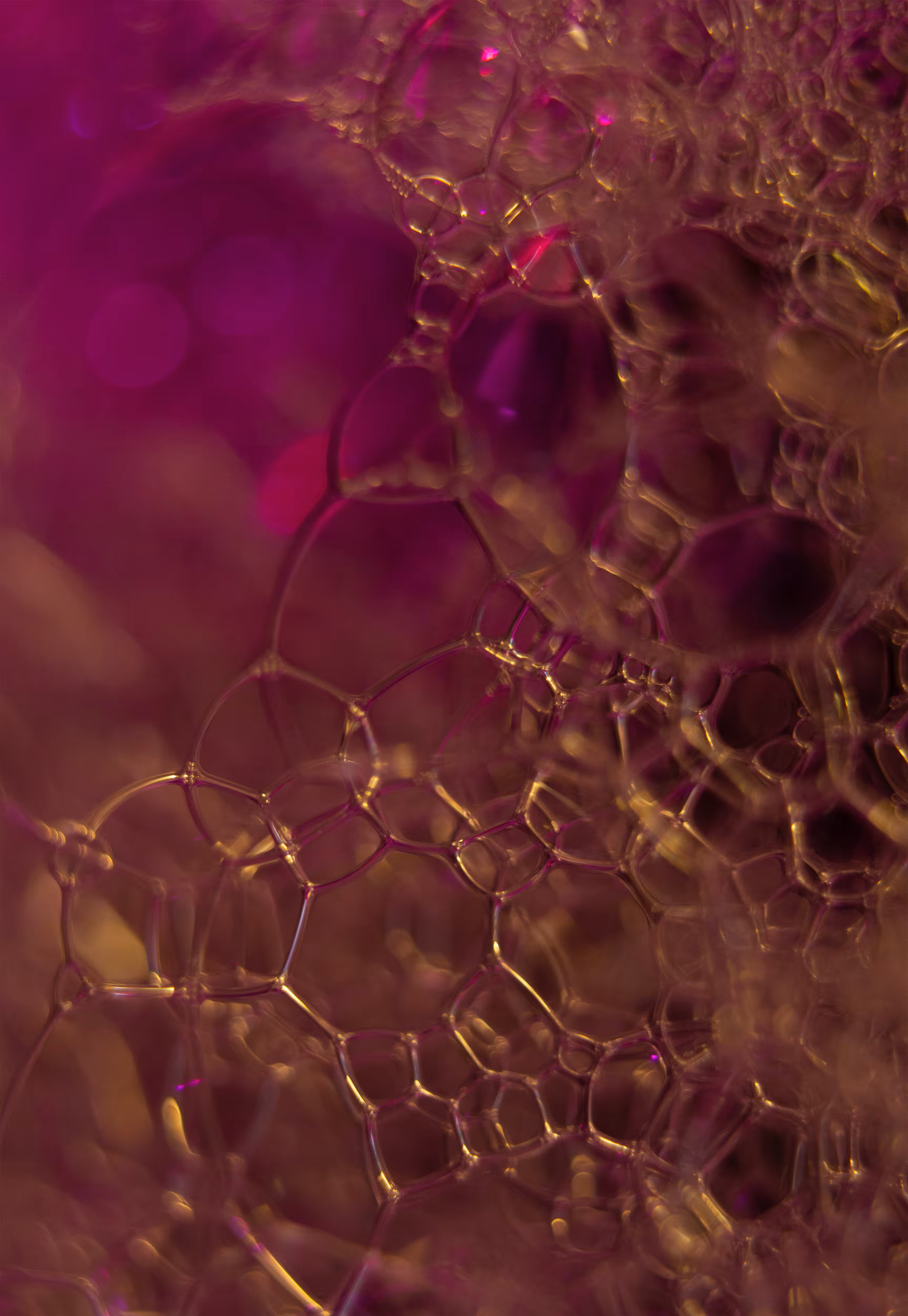 Abstract World of Soap Bubbles: #191 Bubbles