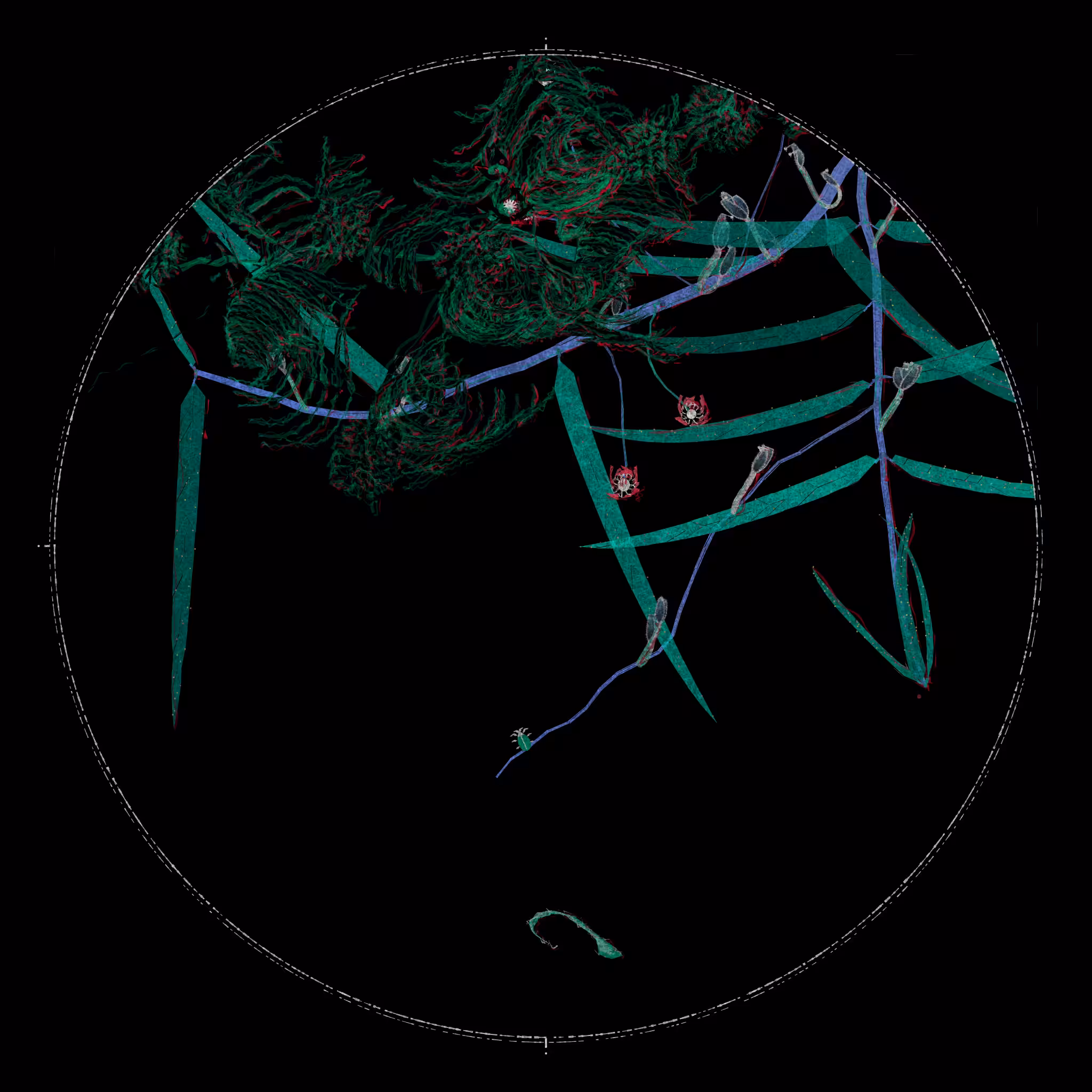 Polypaths | 植徑集 #656