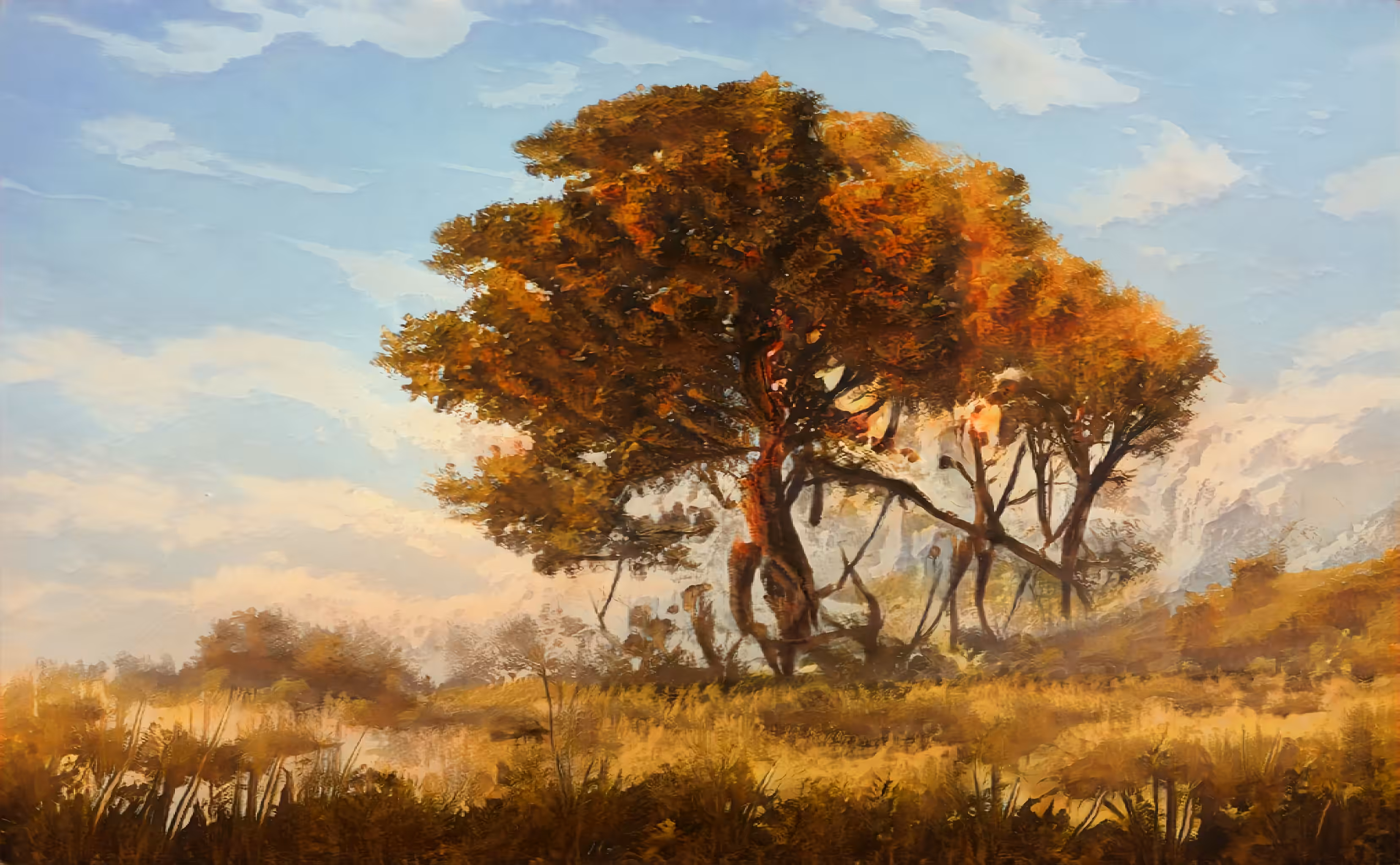 Autumn Tree Fields