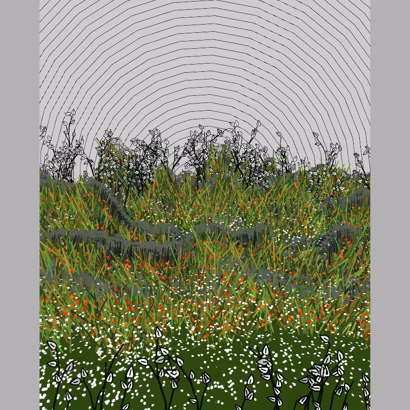 Contours #63