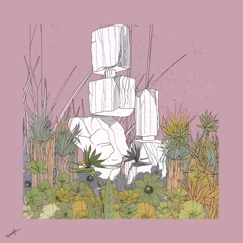 Garden of Lines #Rocks_Blooms #7
