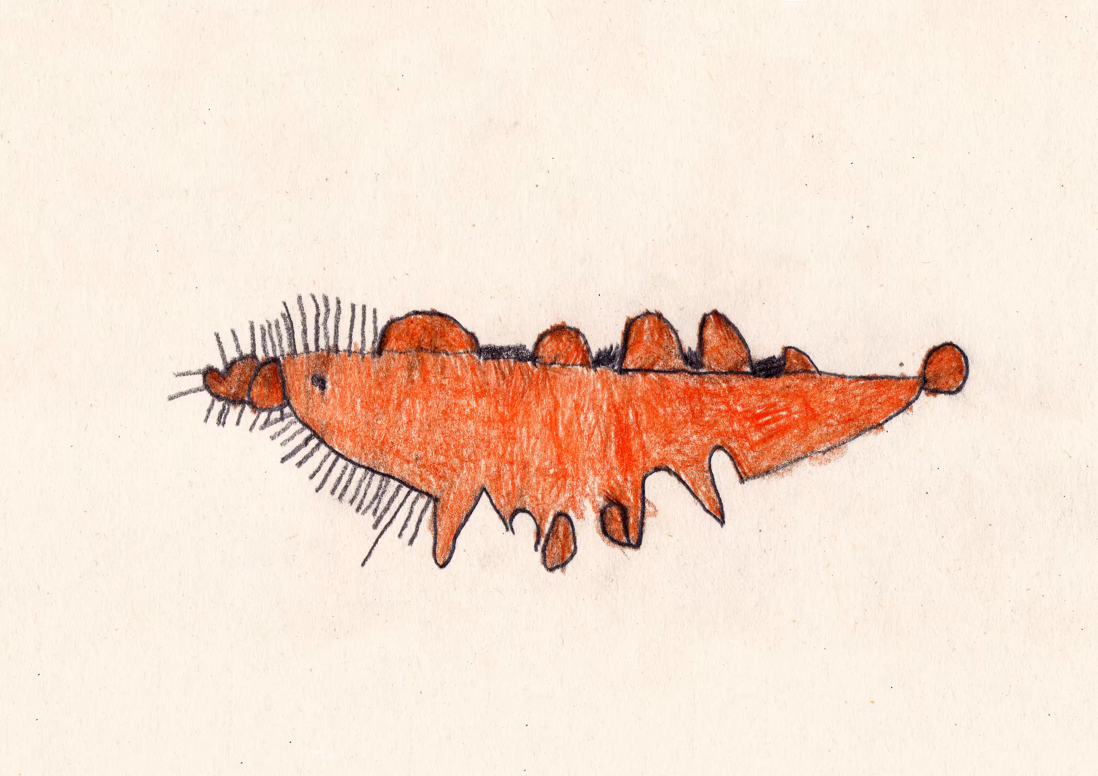 ORANGE ANT