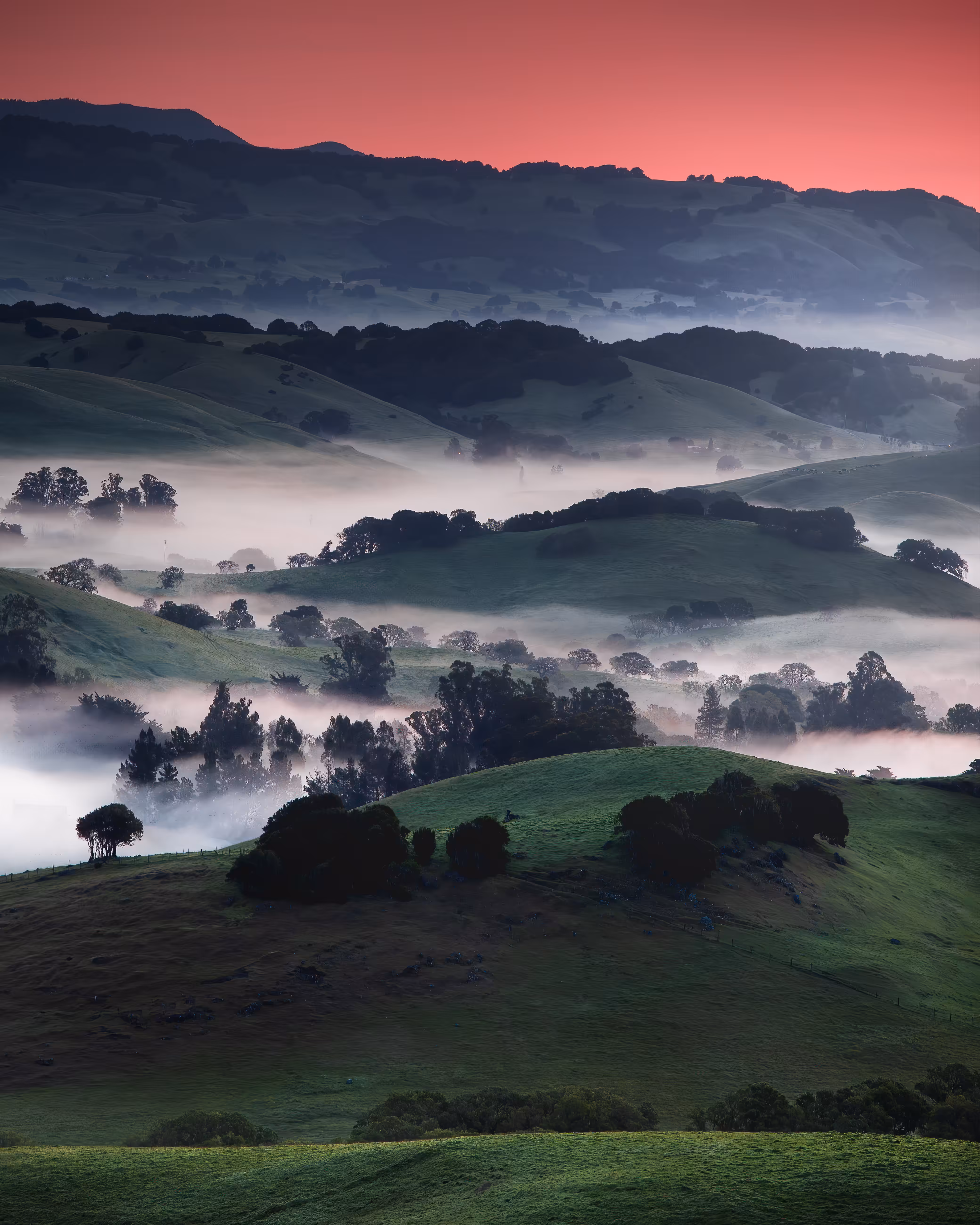 Petaluma Sunrise