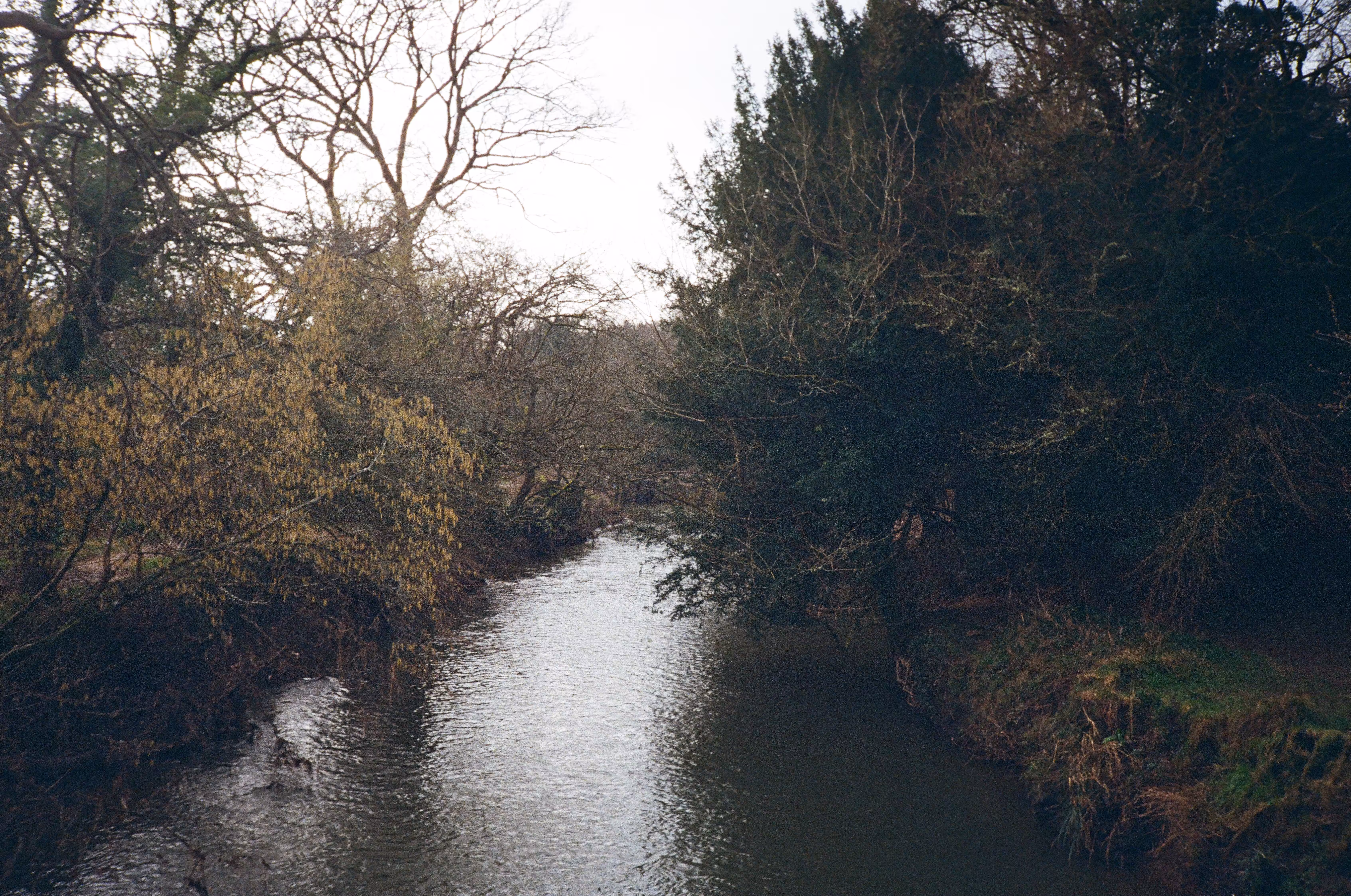 Rodeo posts: Box hill, Surrey