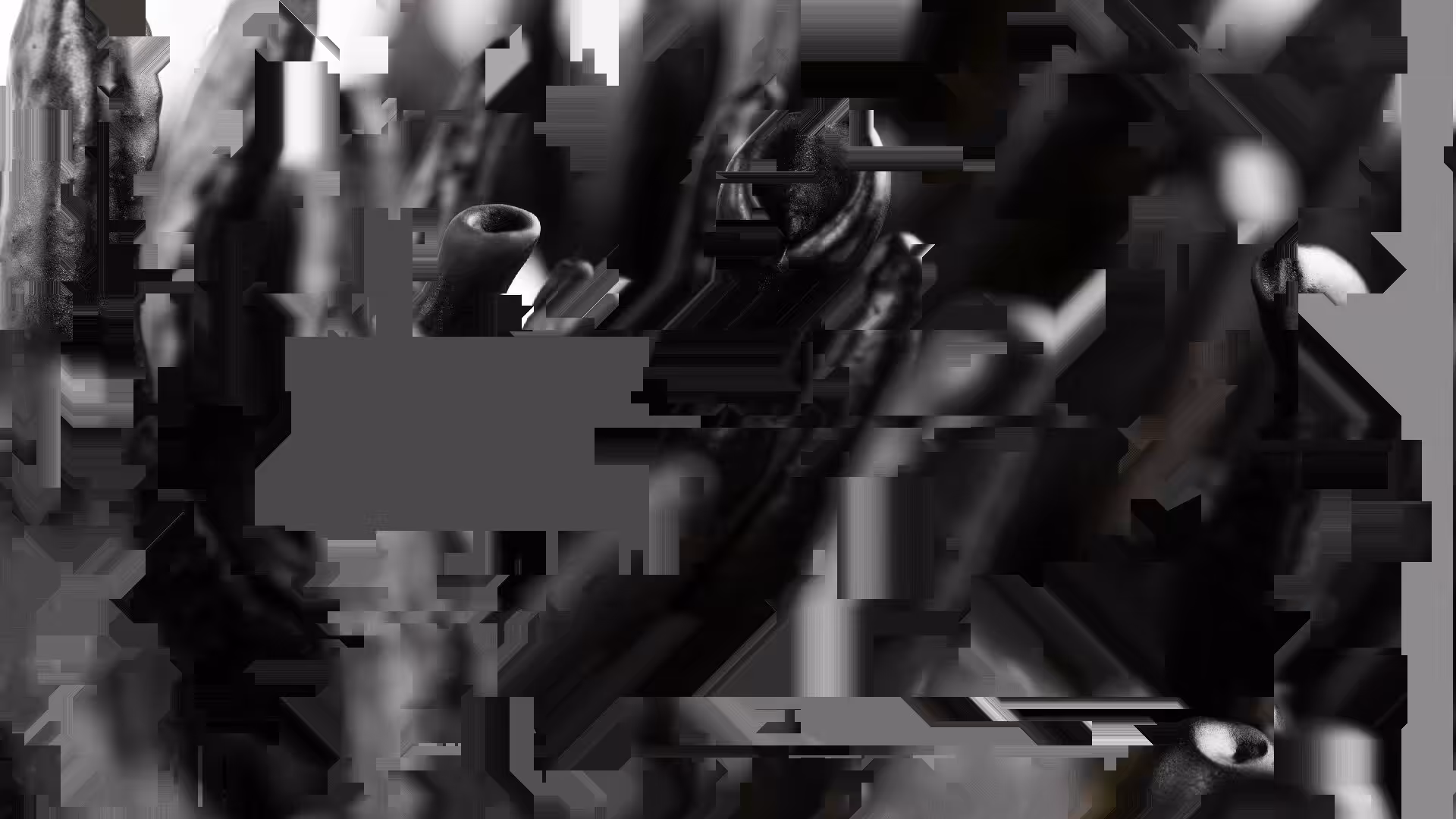 Traces - Som