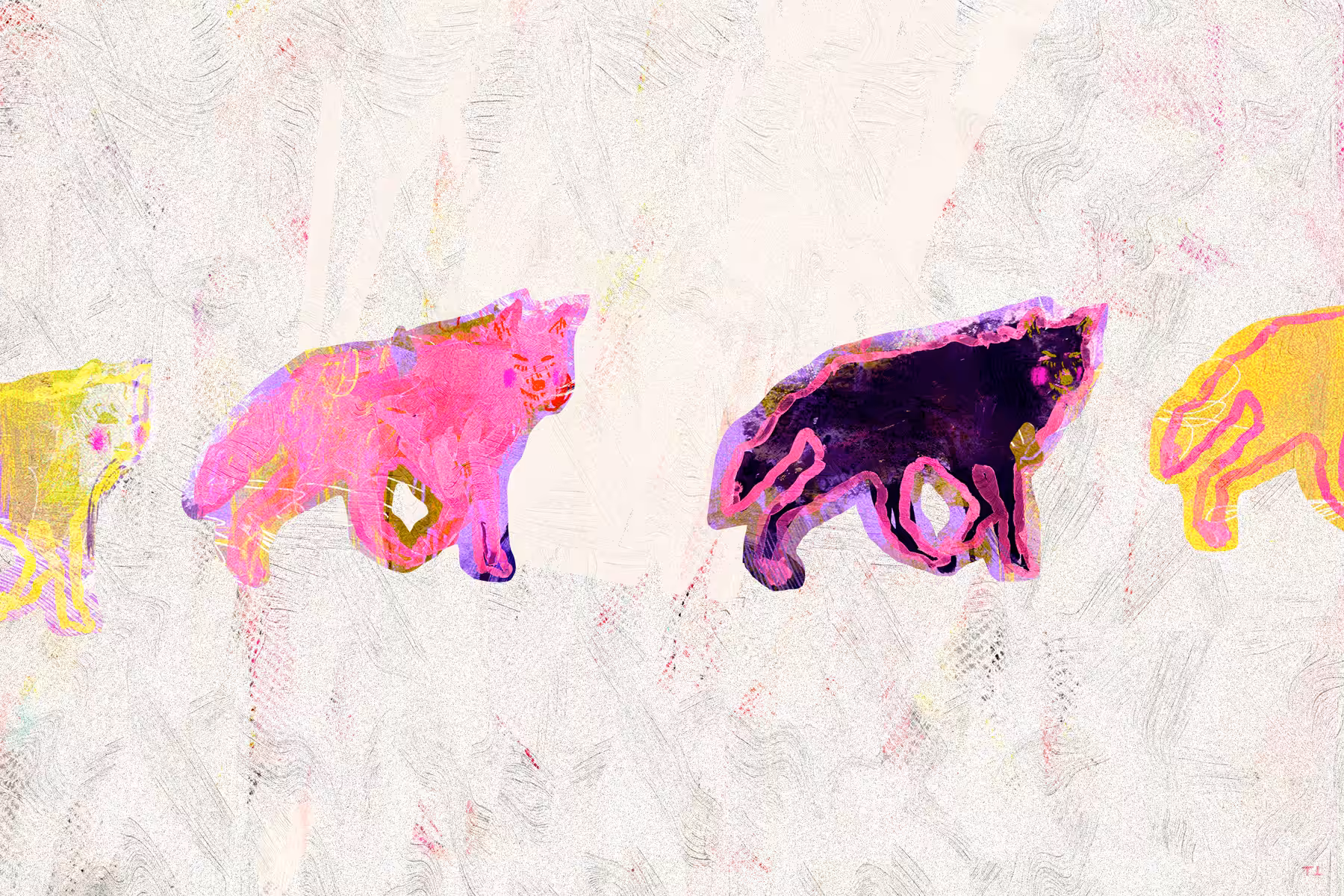 The Postcard Project