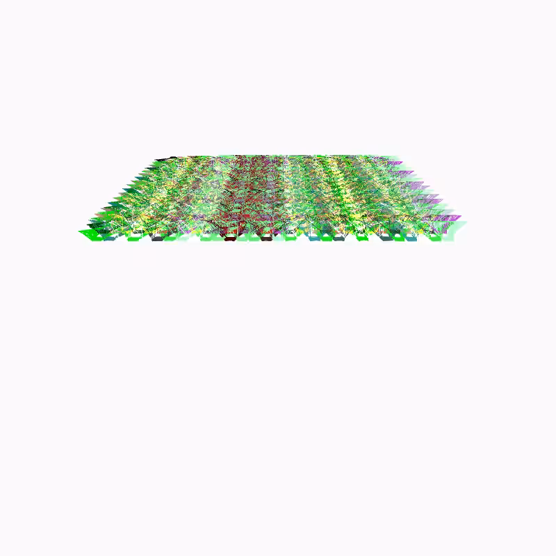 Dense Networks #5