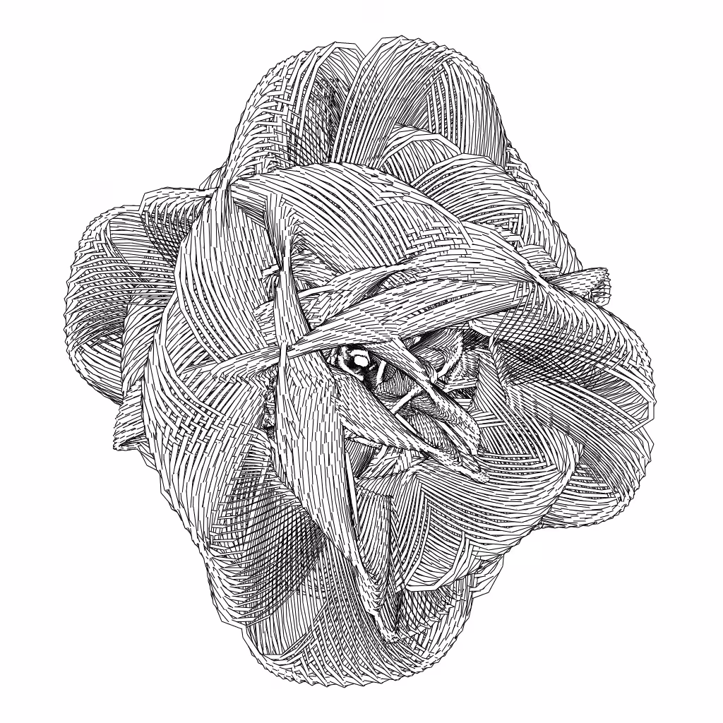 LL21 Entangled (3) #588