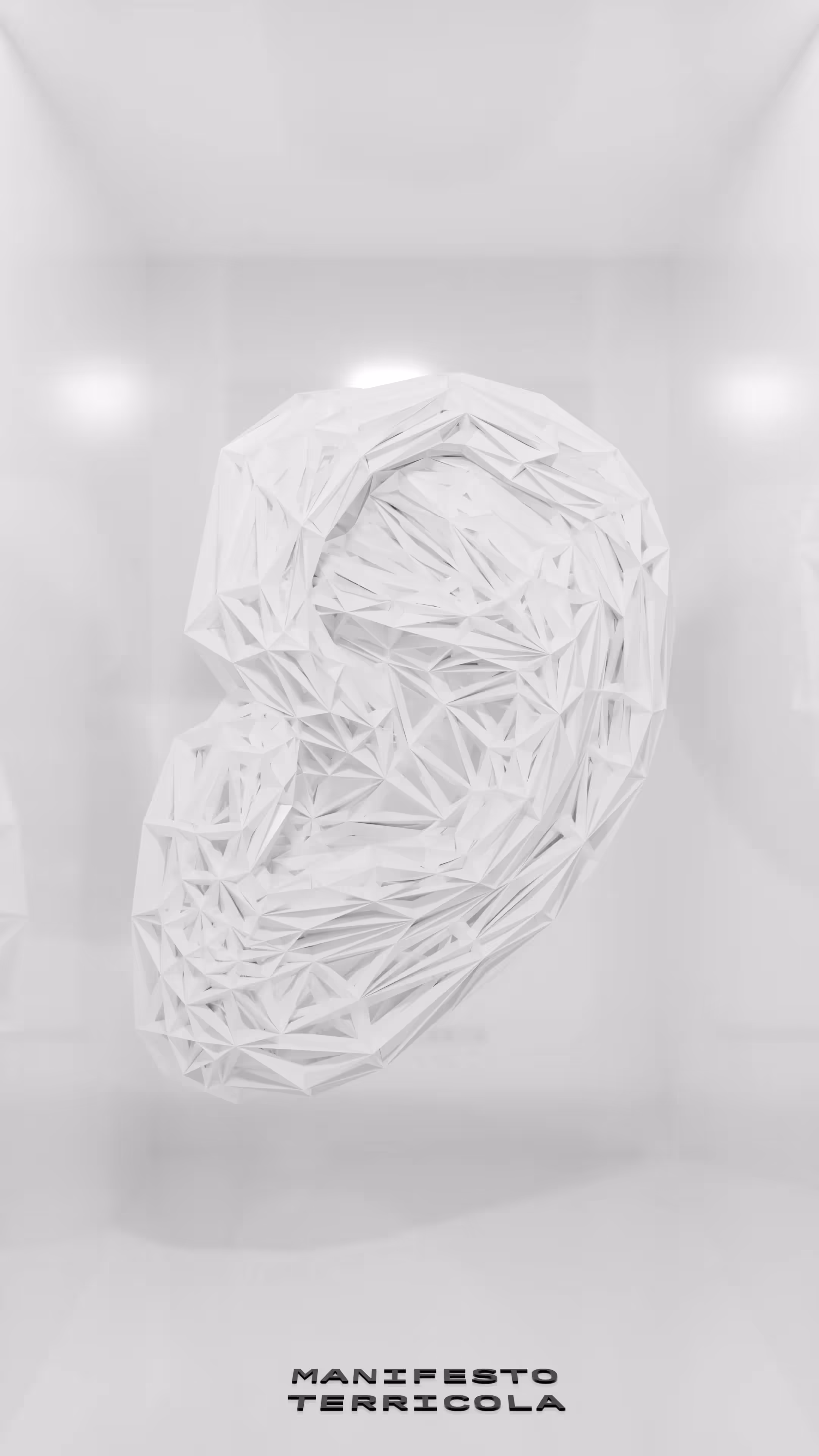 Manifesto Terricola - The code