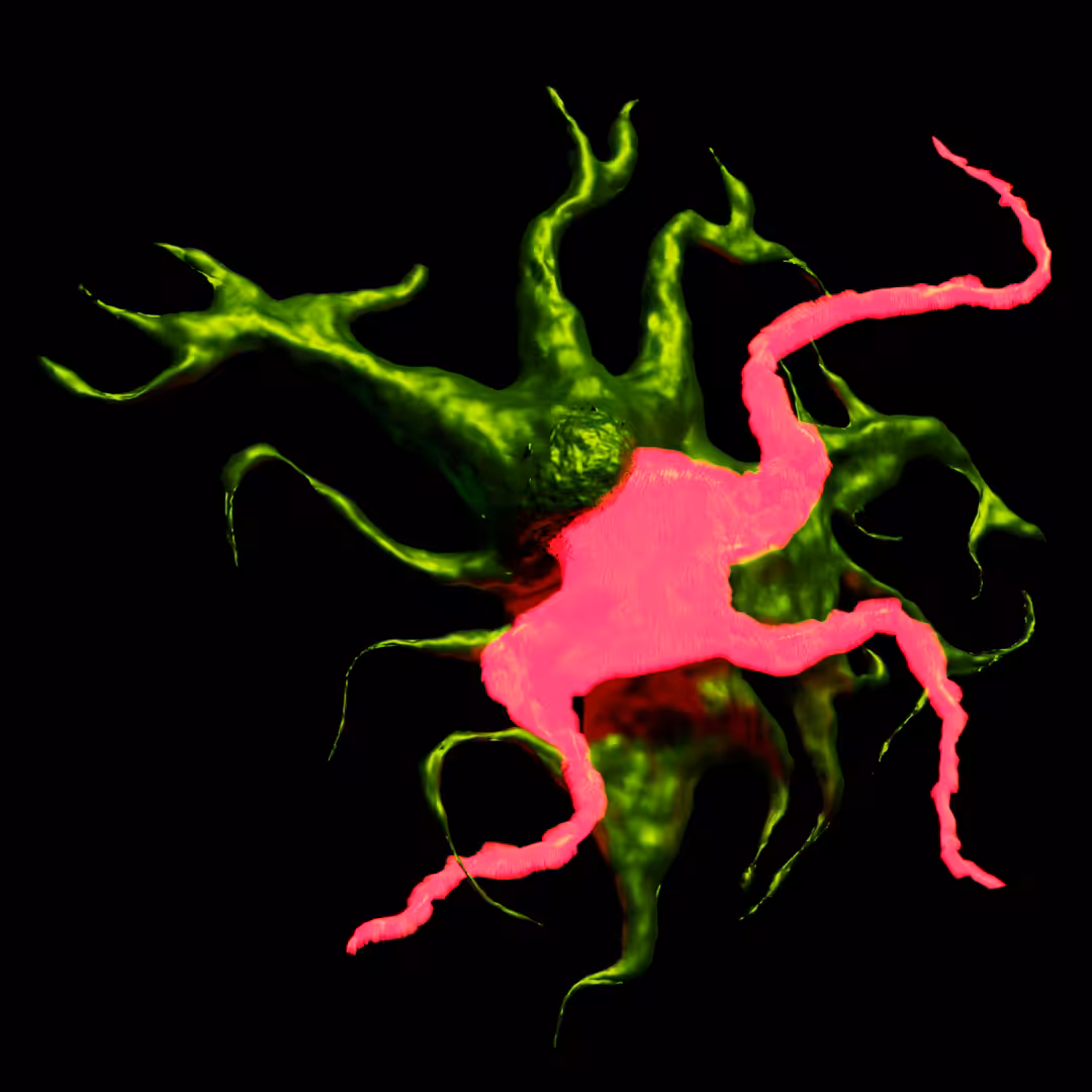 The glowing sickness