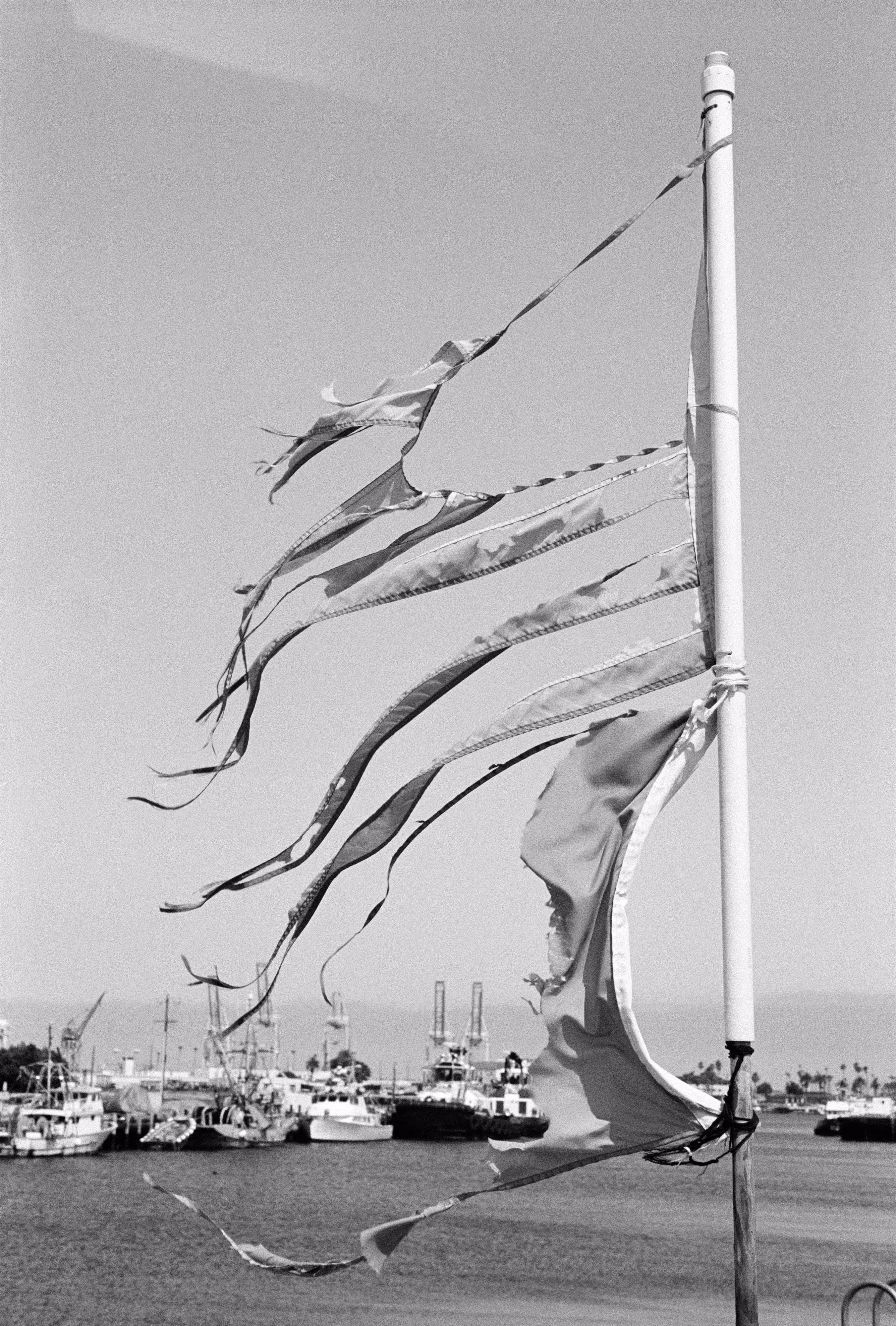 THE VILLAGE #50 TATTERED FLAG by Deanna Templeton