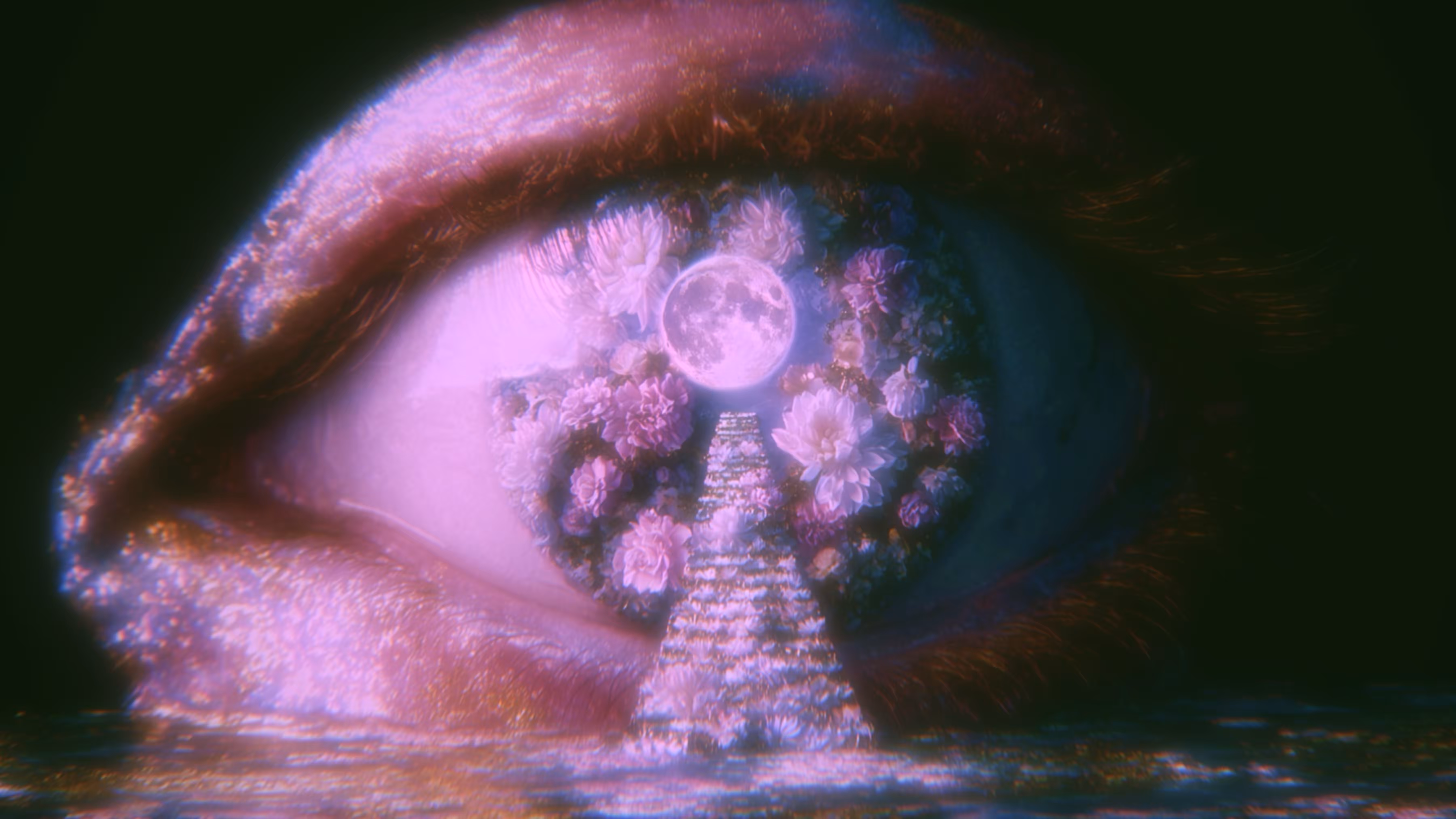 • moon path •