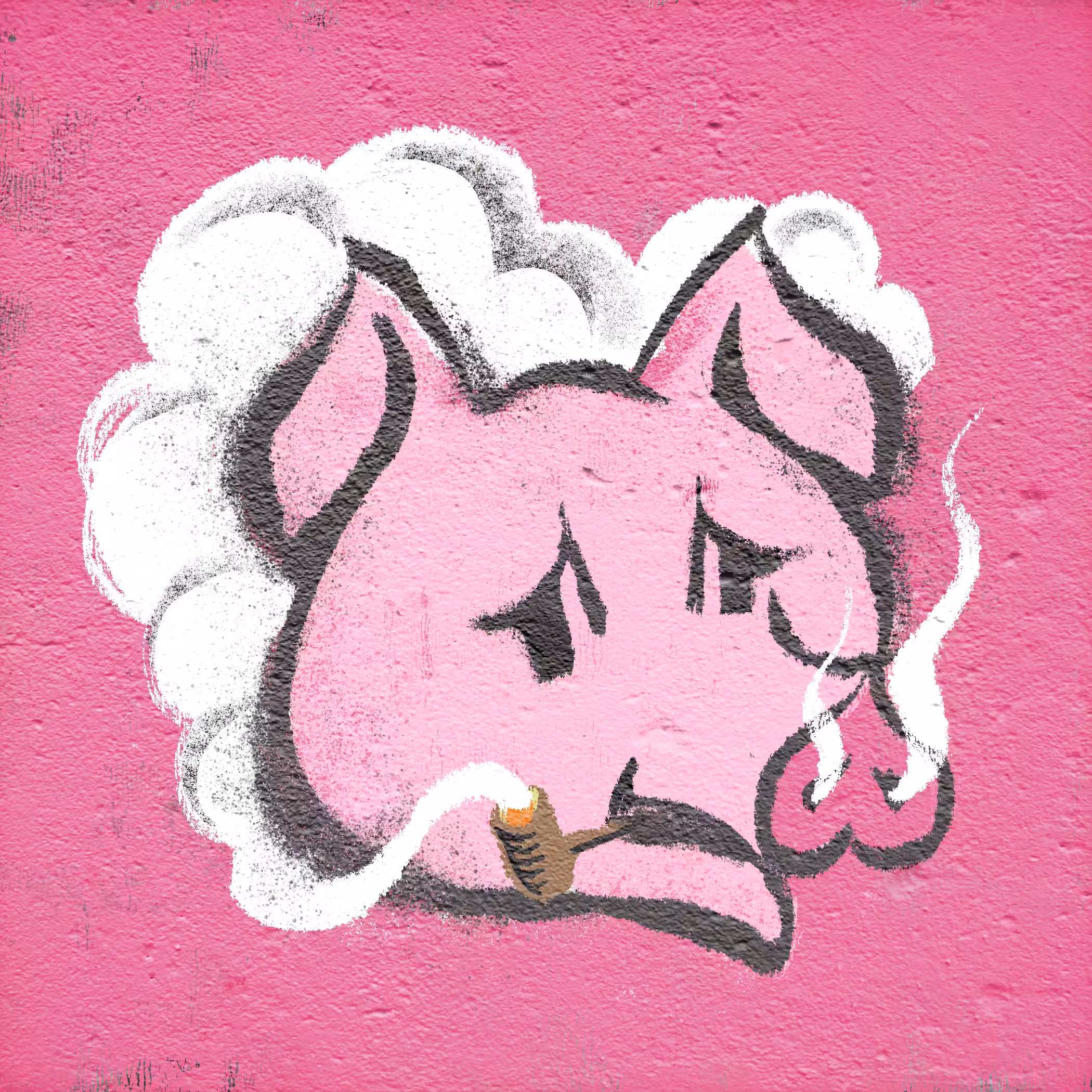 Pig #046