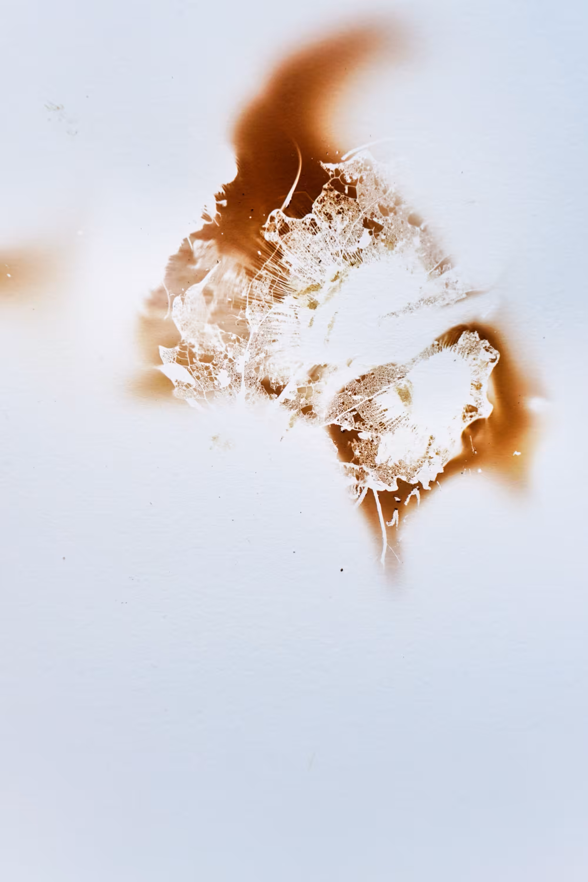 Fingerprint 04