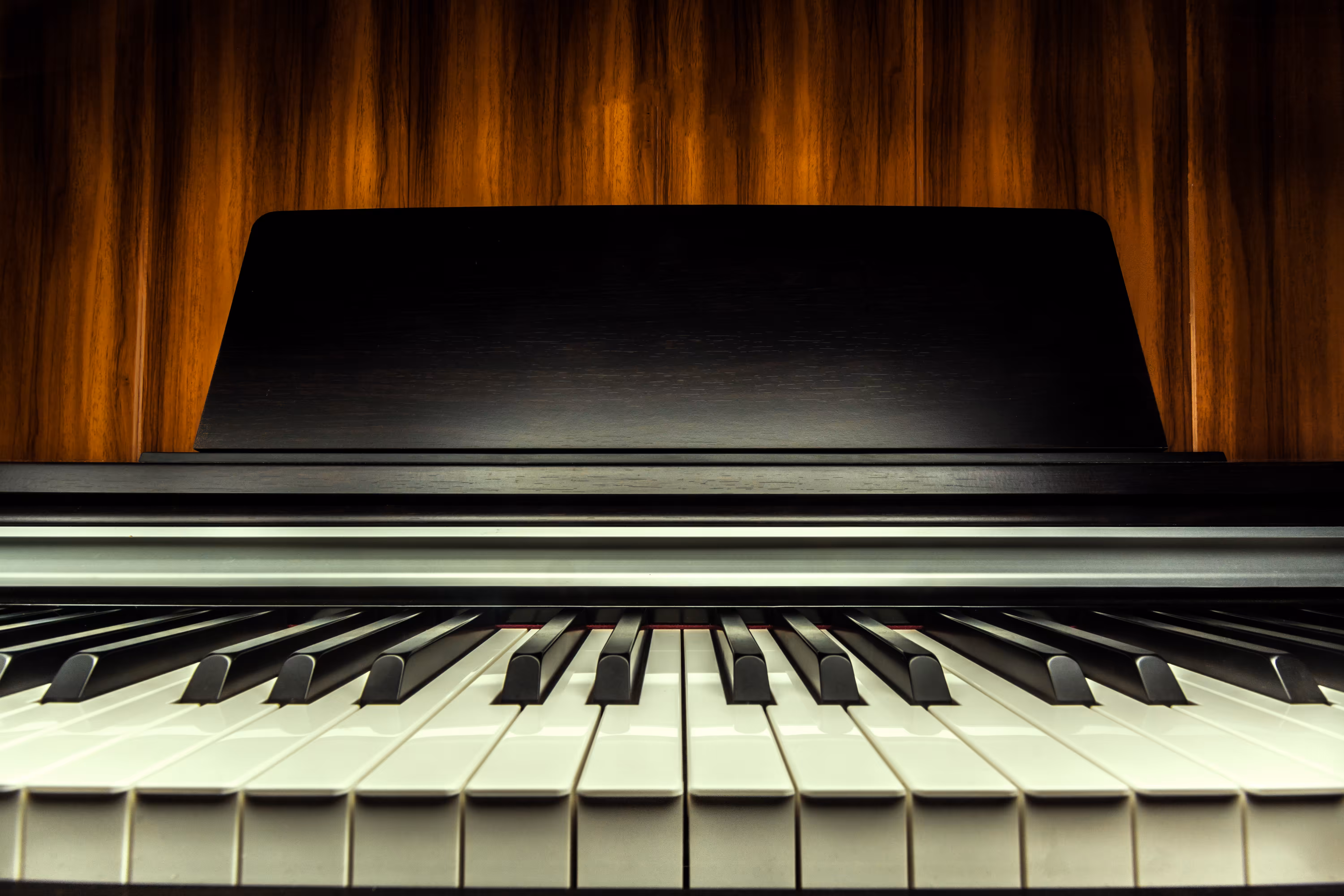 The Piano
