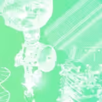 RECYCLED INTERNETS 02