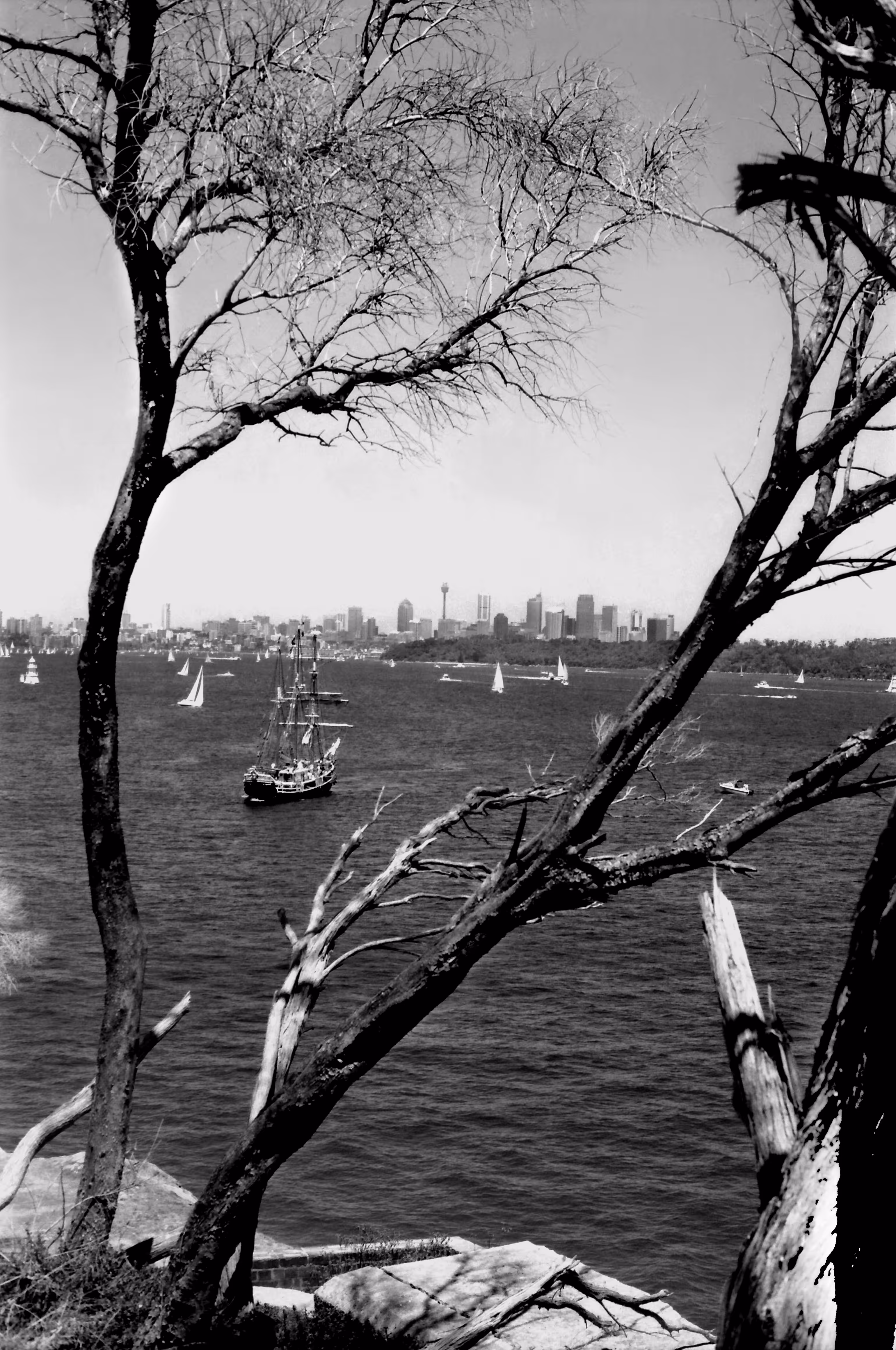 WHEN THE WIND BLOWS