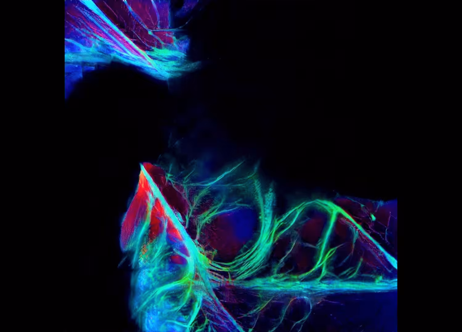 Impulse