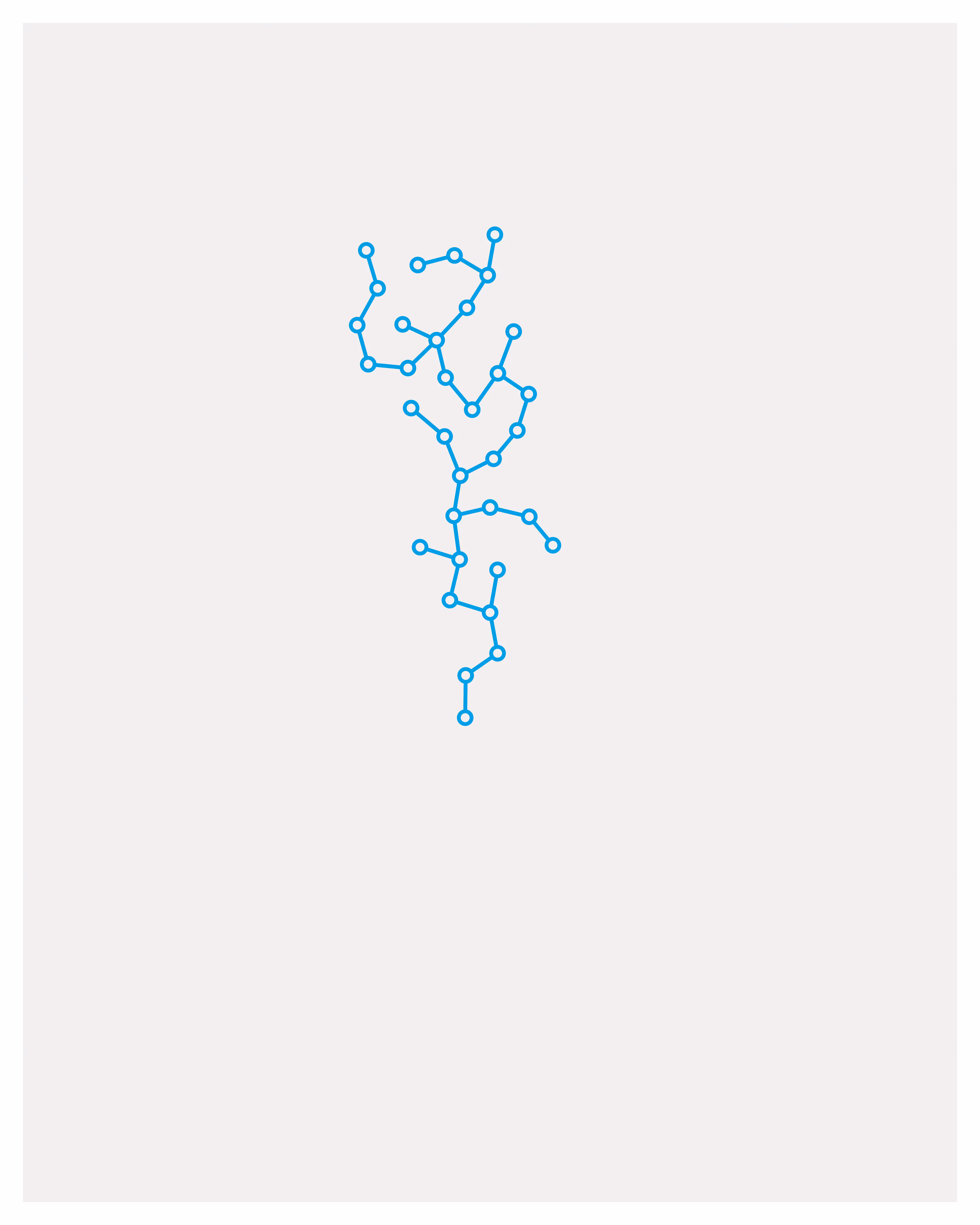 Networks #57 