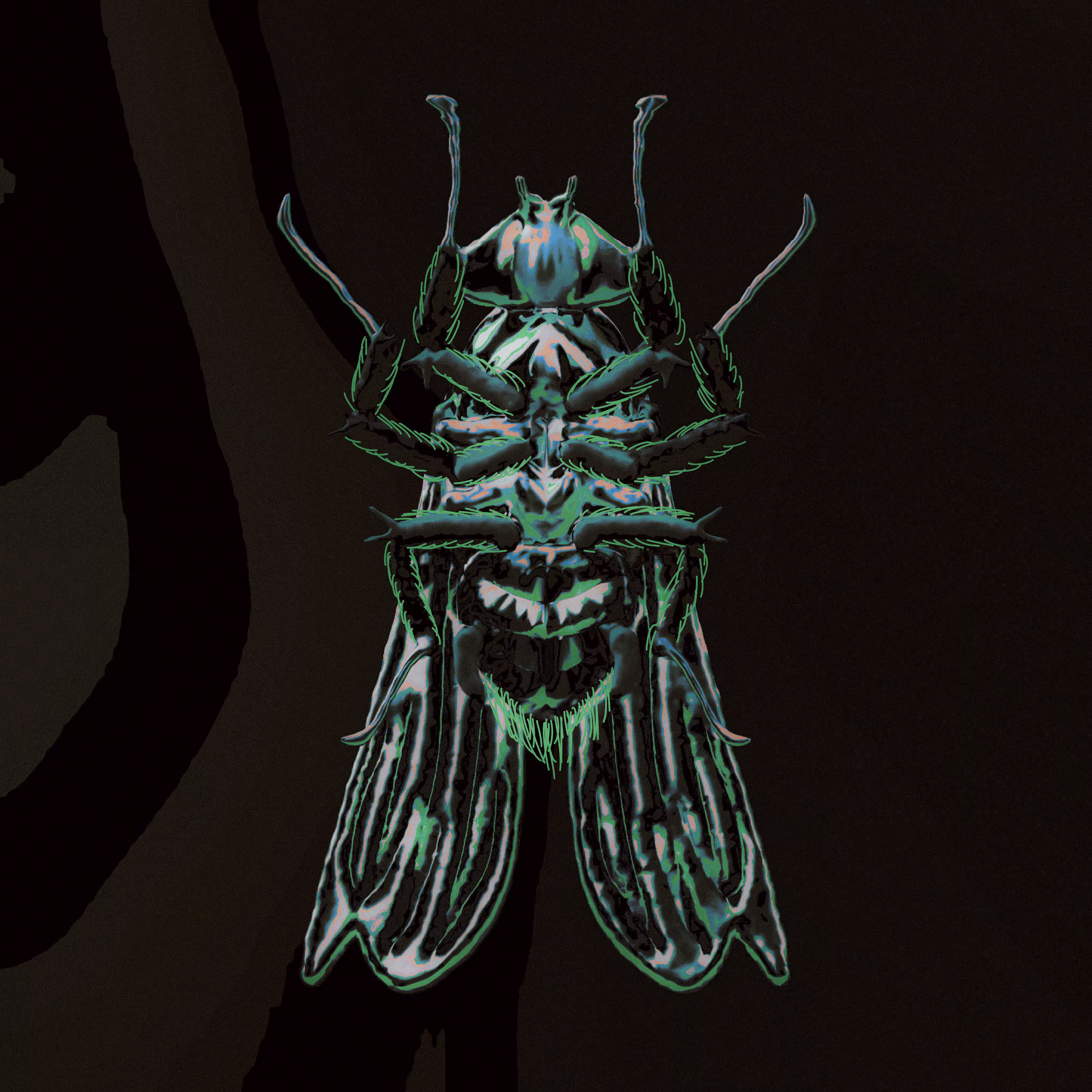 Flies