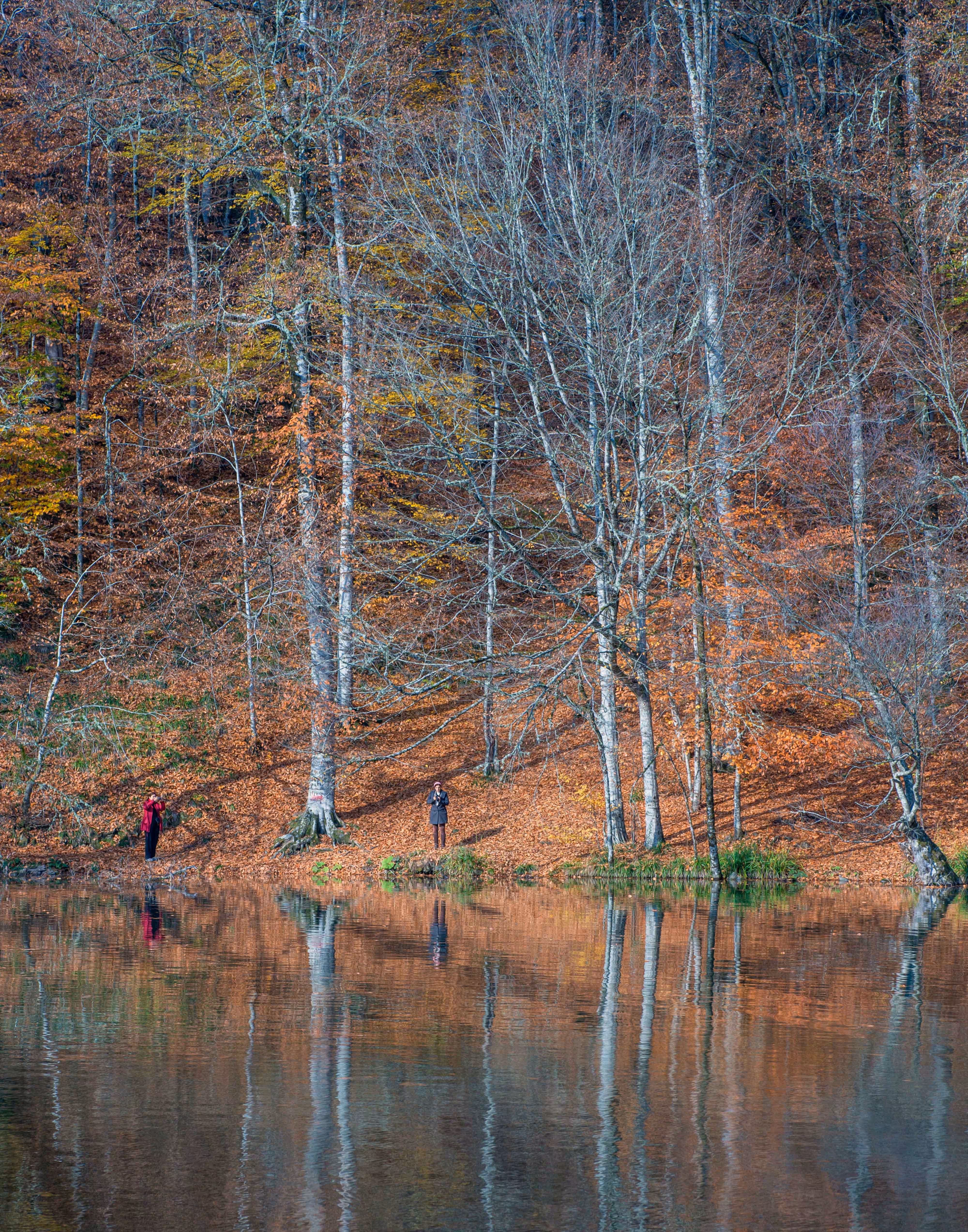 Reflection of the Autumn 1