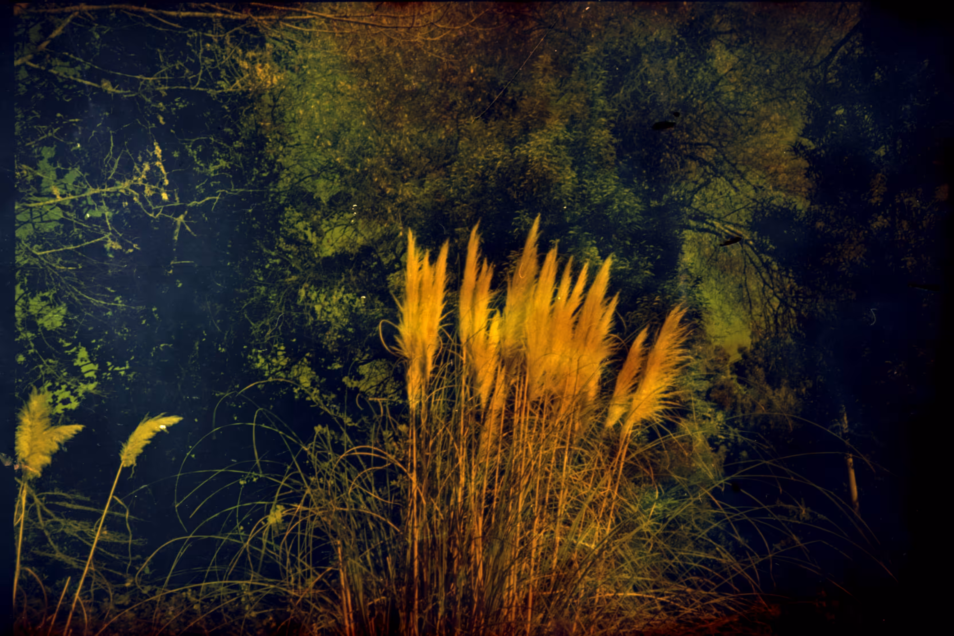the fall