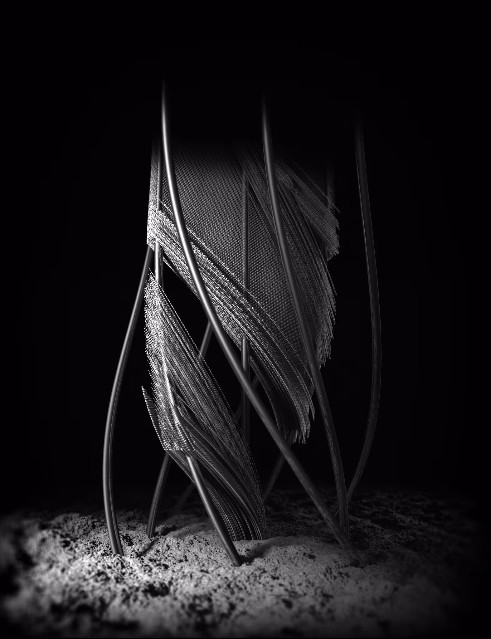 Chrysalis #282