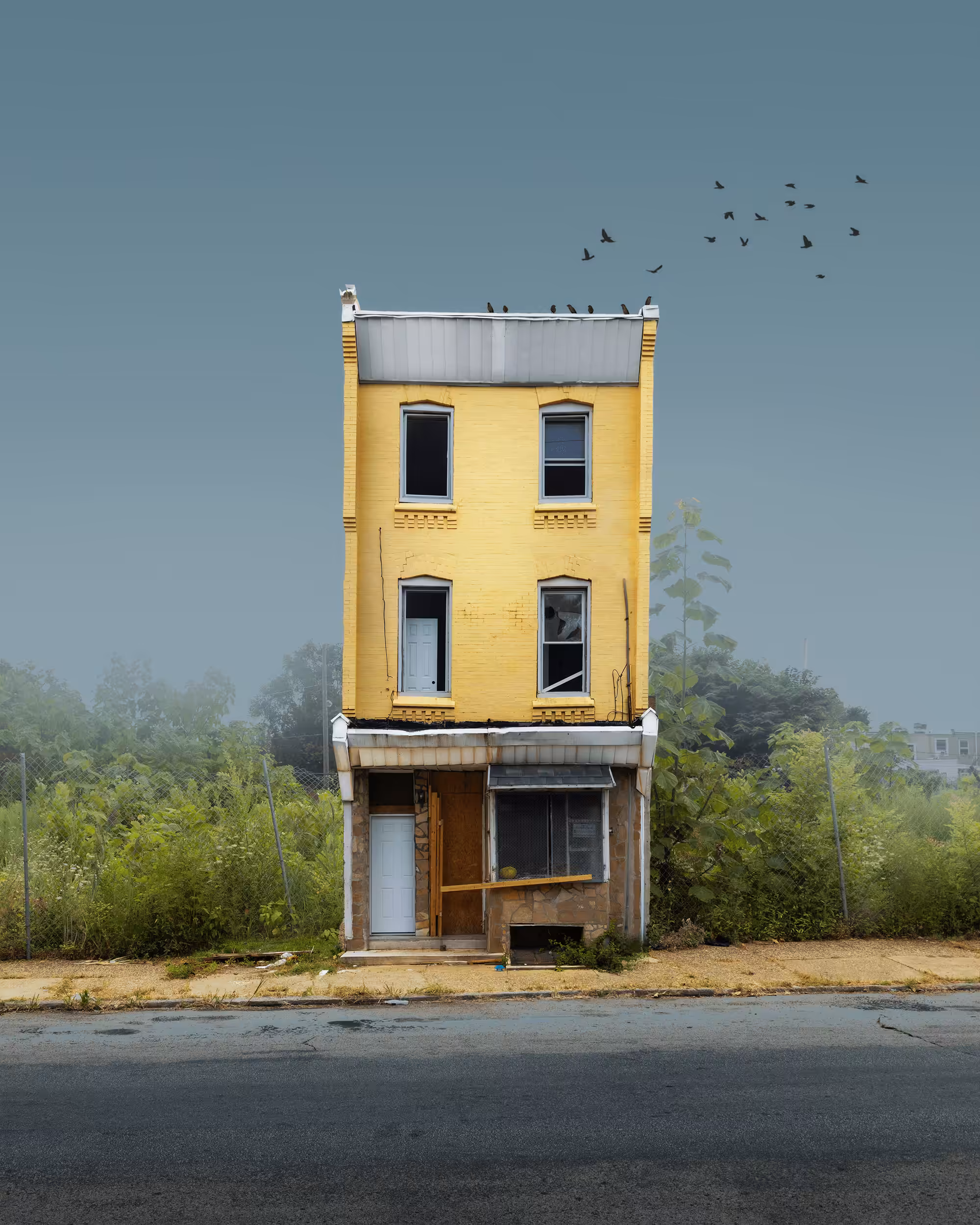 Rowhome #50