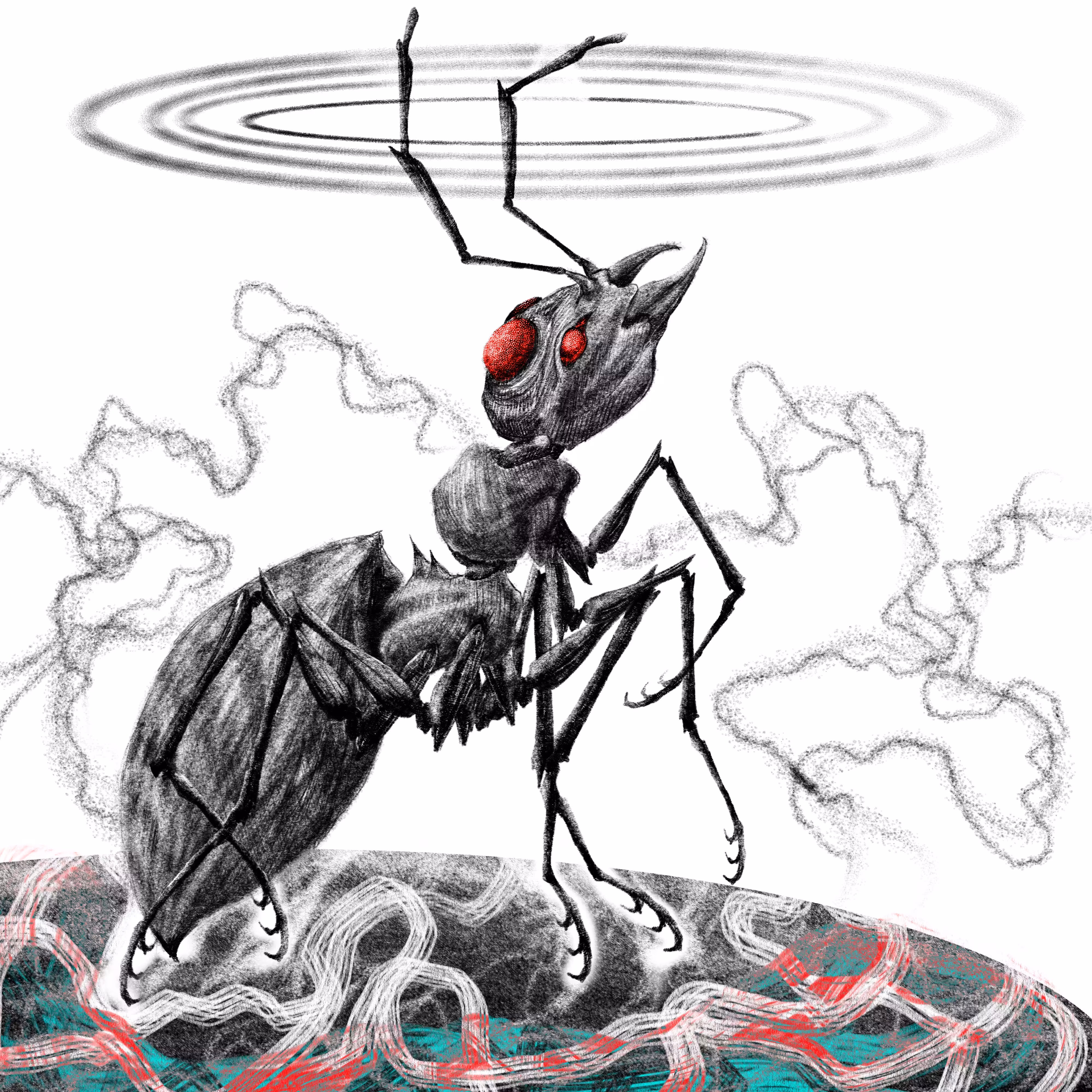 ANT SOLDIER
