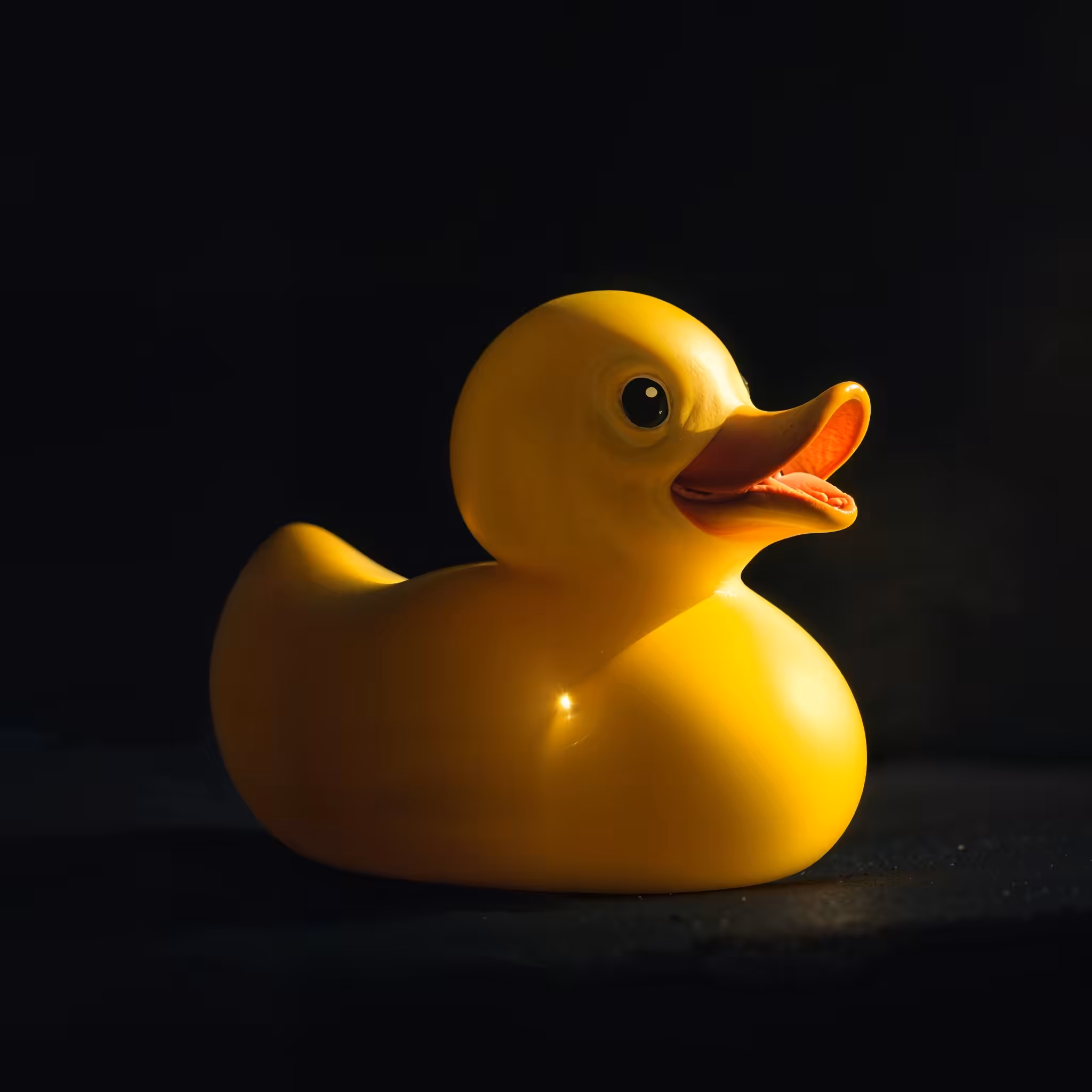 DUCK