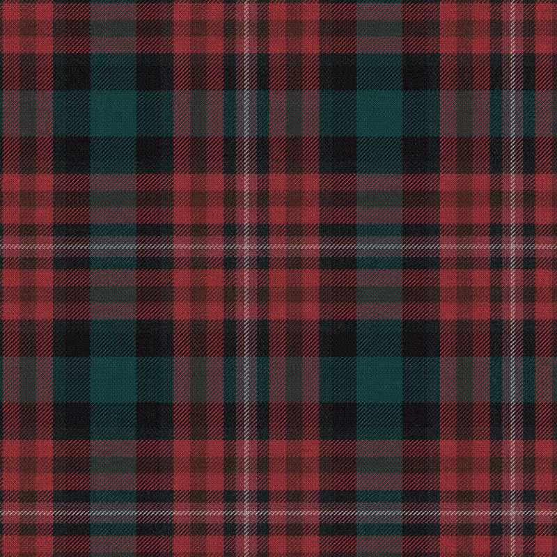 Tartan Cloth #26