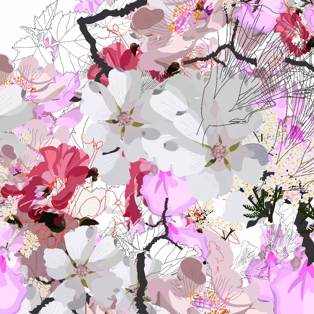 DrawFlower1.1 #11