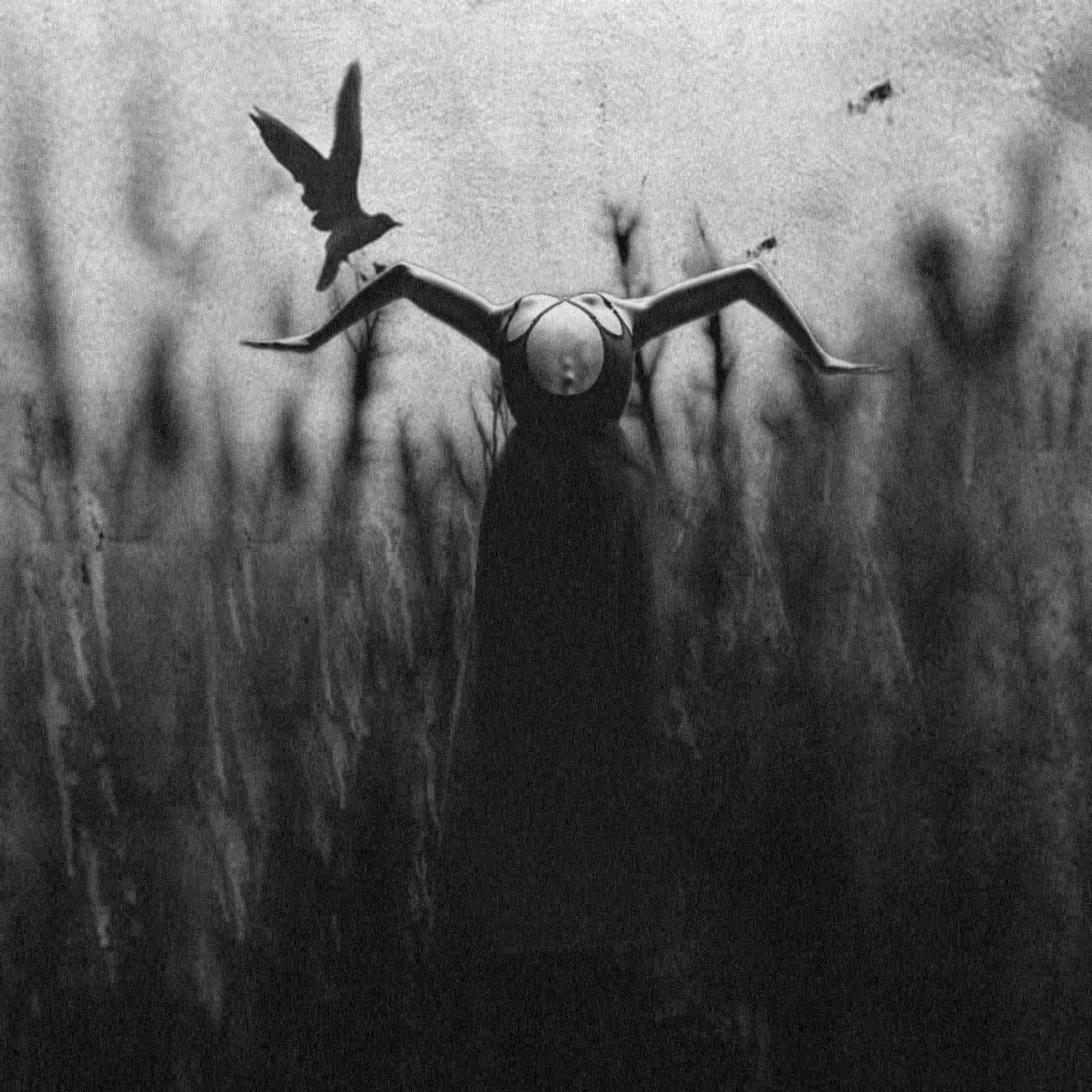 The woman 