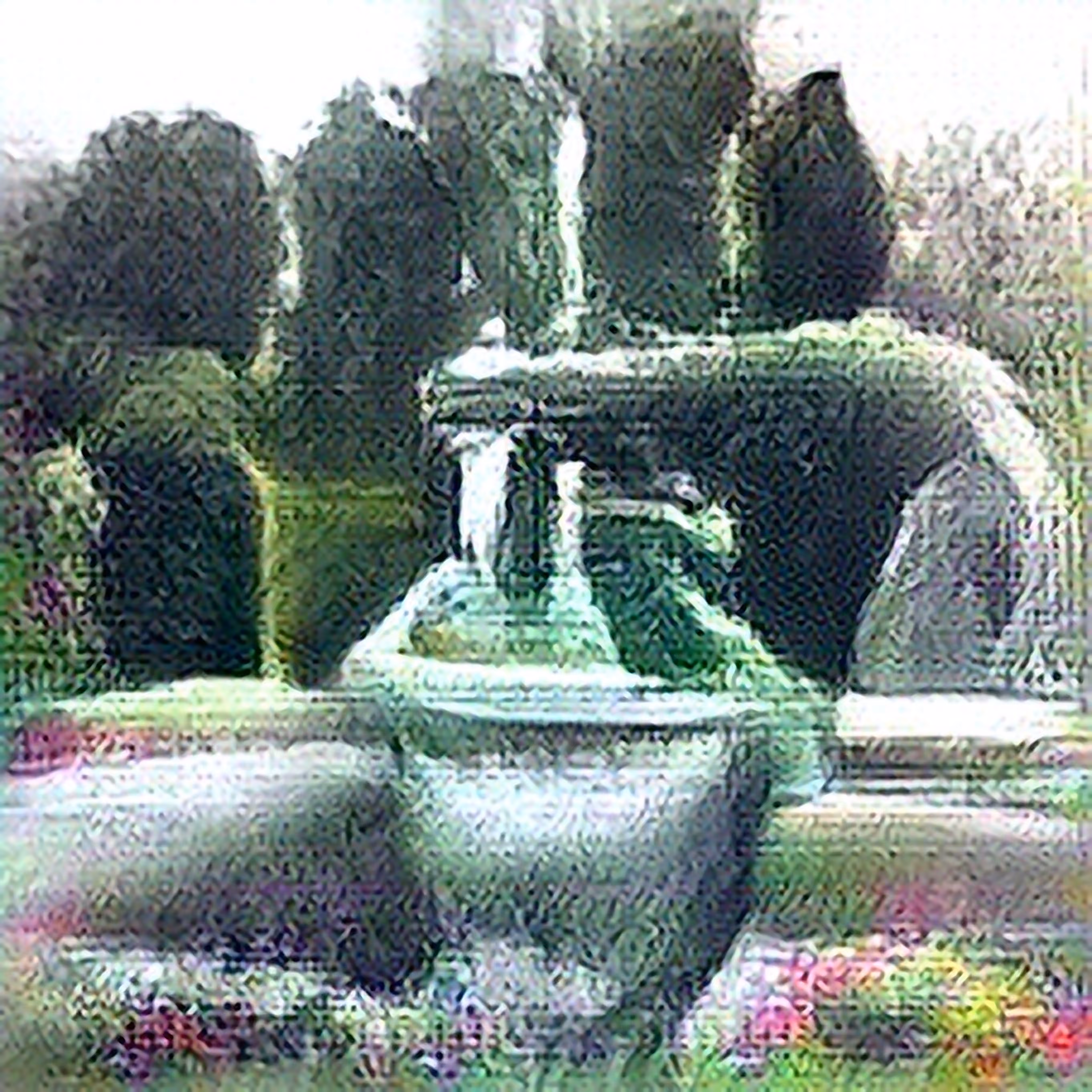 RaiSR RuiNS : RaiSR RuiNS_00052