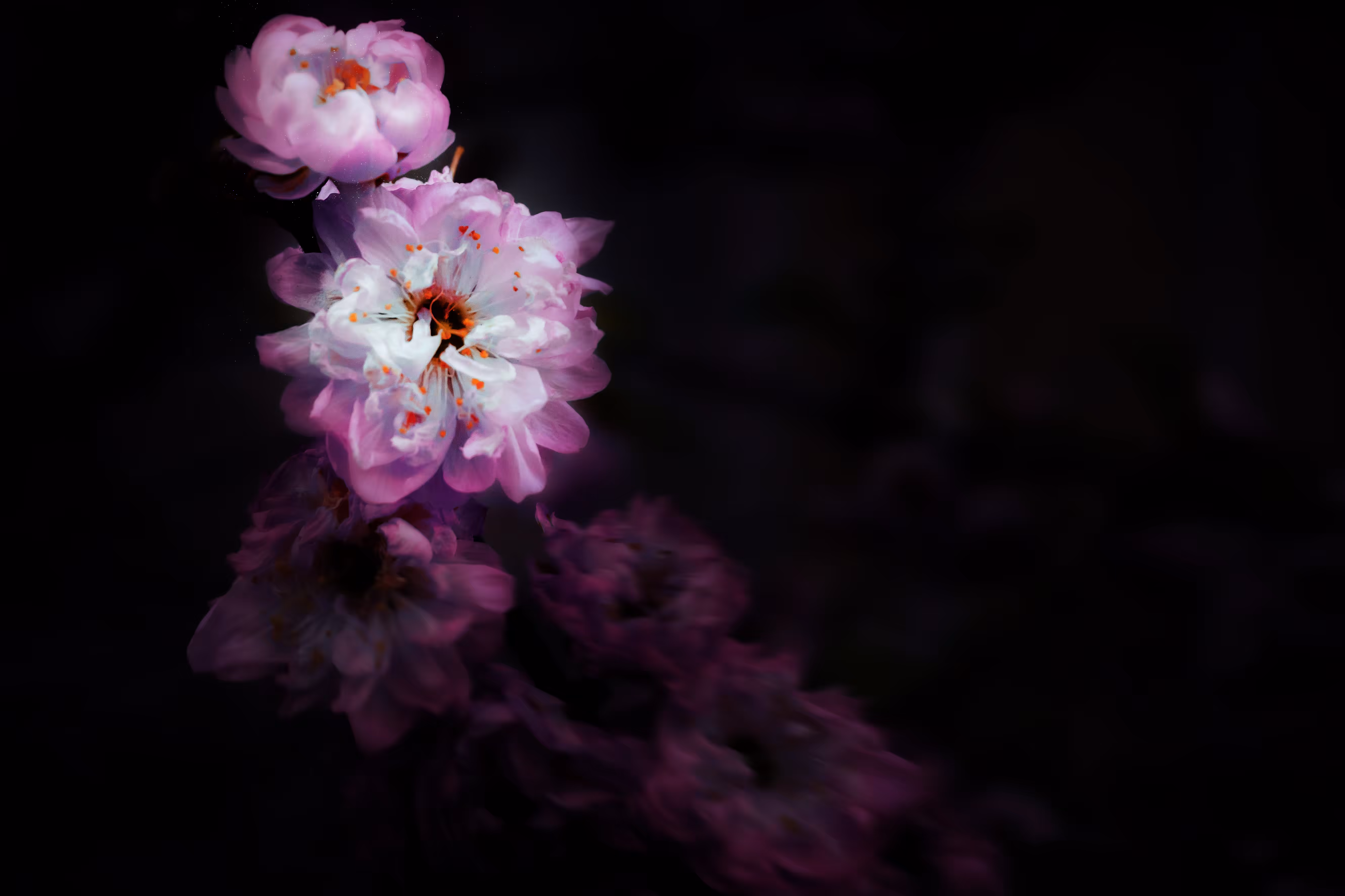 Fading Into Grace
