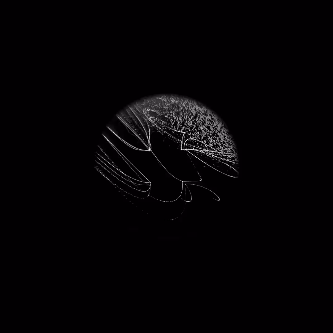 mono