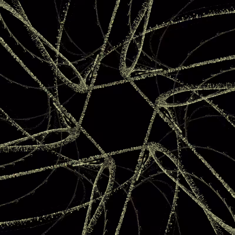 Vortex #203